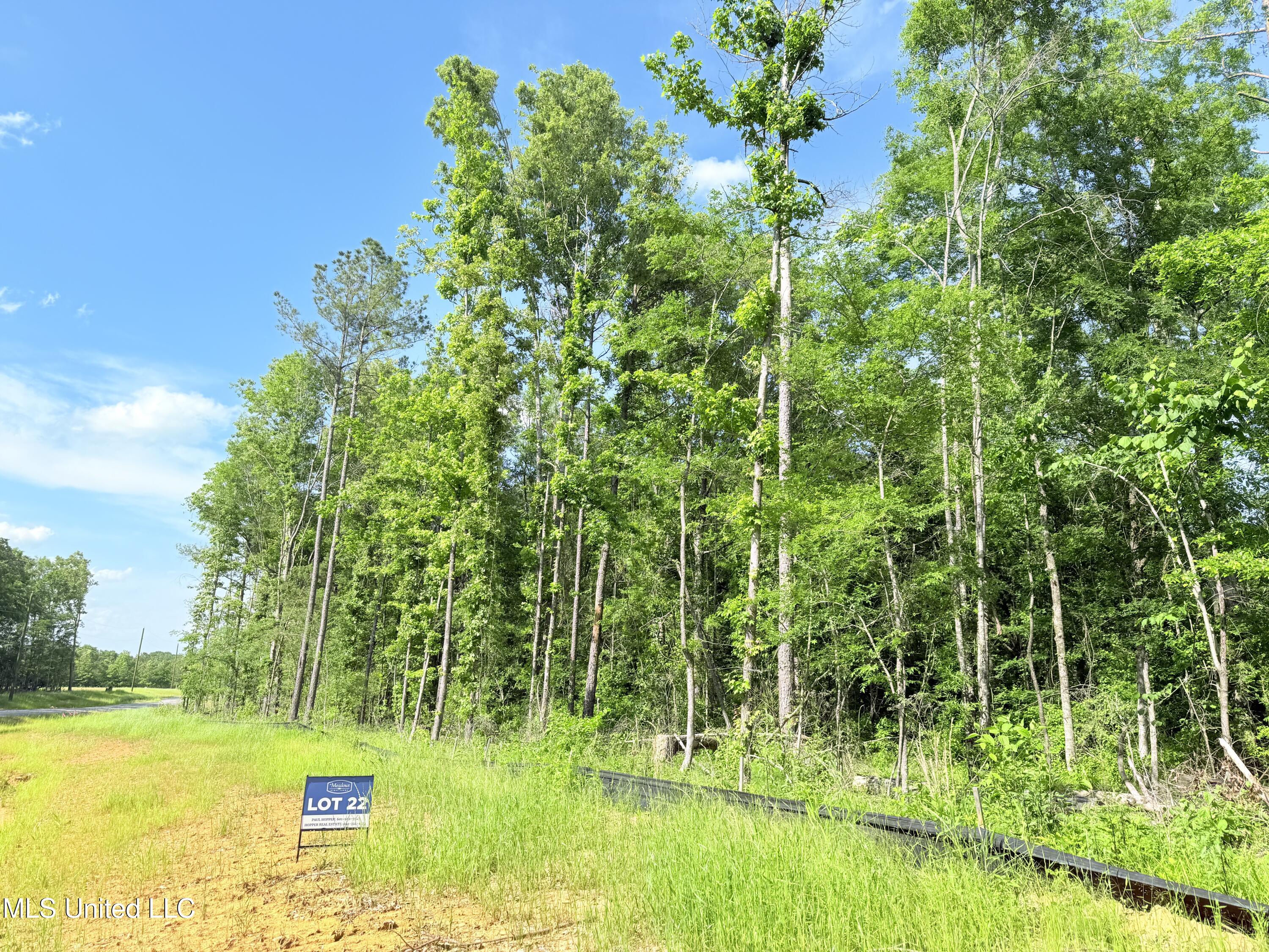 Stout Meadows Lane, Madison, Mississippi image 8