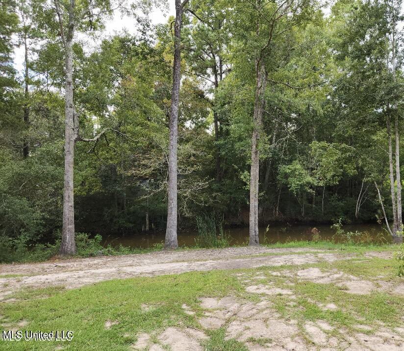 Meadowdale Drive, Gautier, Mississippi image 1