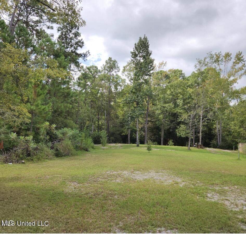 Meadowdale Drive, Gautier, Mississippi image 6
