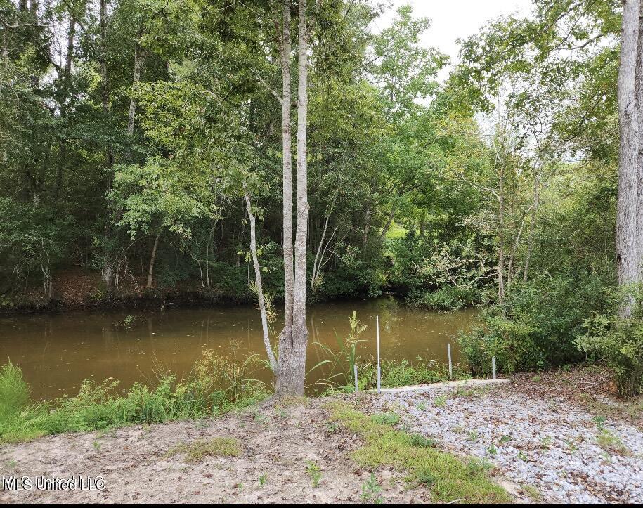 Meadowdale Drive, Gautier, Mississippi image 8
