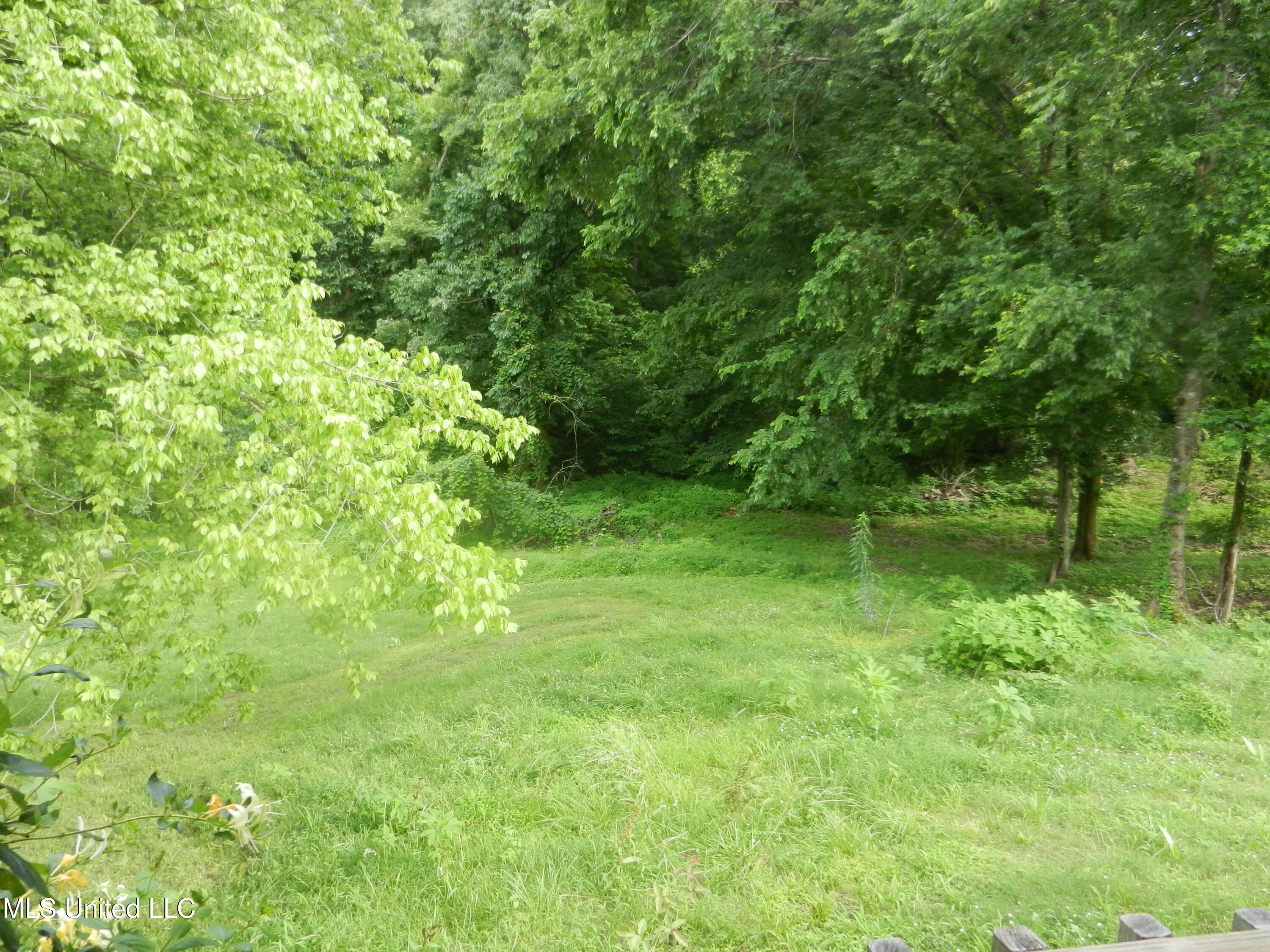1070 Wilson Ridge Ridge, Lake Cormorant, Mississippi image 17