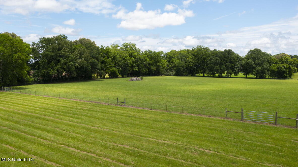 398 Green Acres A Drive, Canton, Mississippi image 47