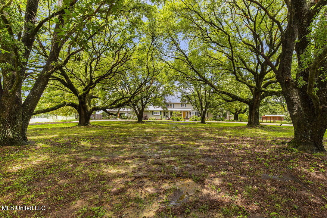 398 Green Acres A Drive, Canton, Mississippi image 2