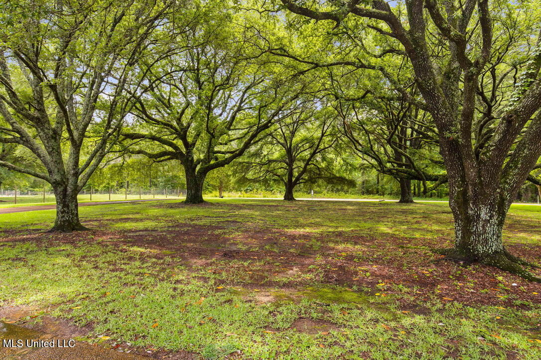 398 Green Acres A Drive, Canton, Mississippi image 43