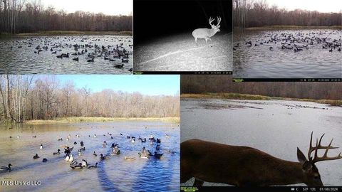 Vacant Land For Sale - 1 Rodney Bend Road Rd<br/> Lorman, MS 39096