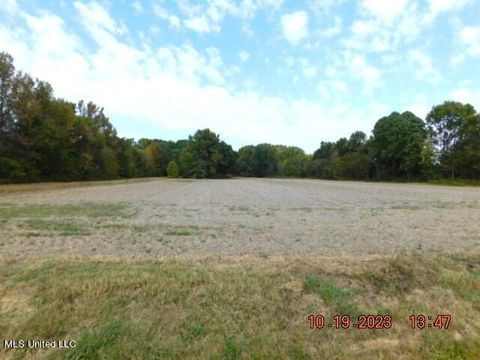 Vacant Land For Sale - 00 Dean Road<br/> Nesbit, MS 38651