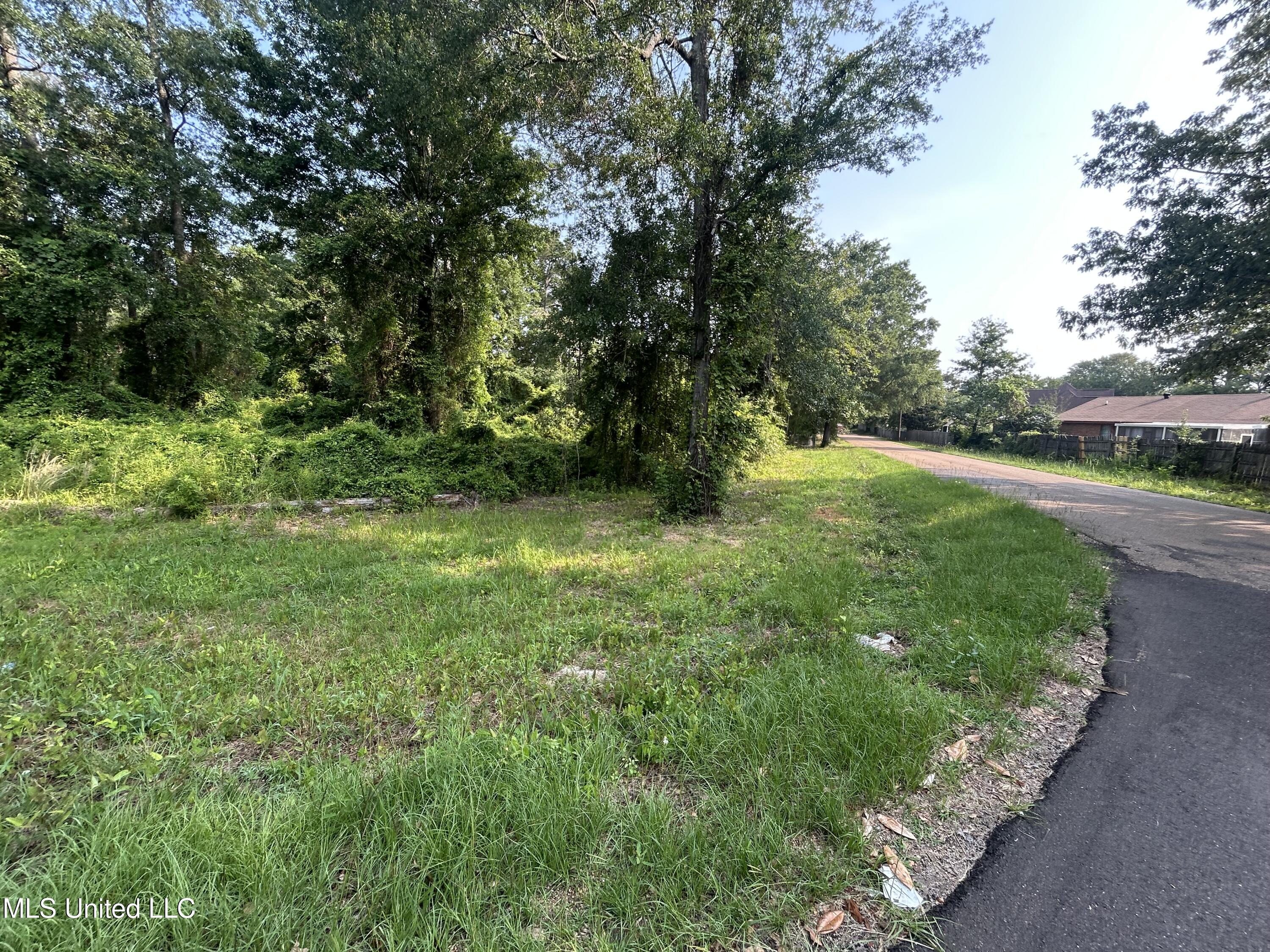 00 Love St Street, Brookhaven, Mississippi image 6