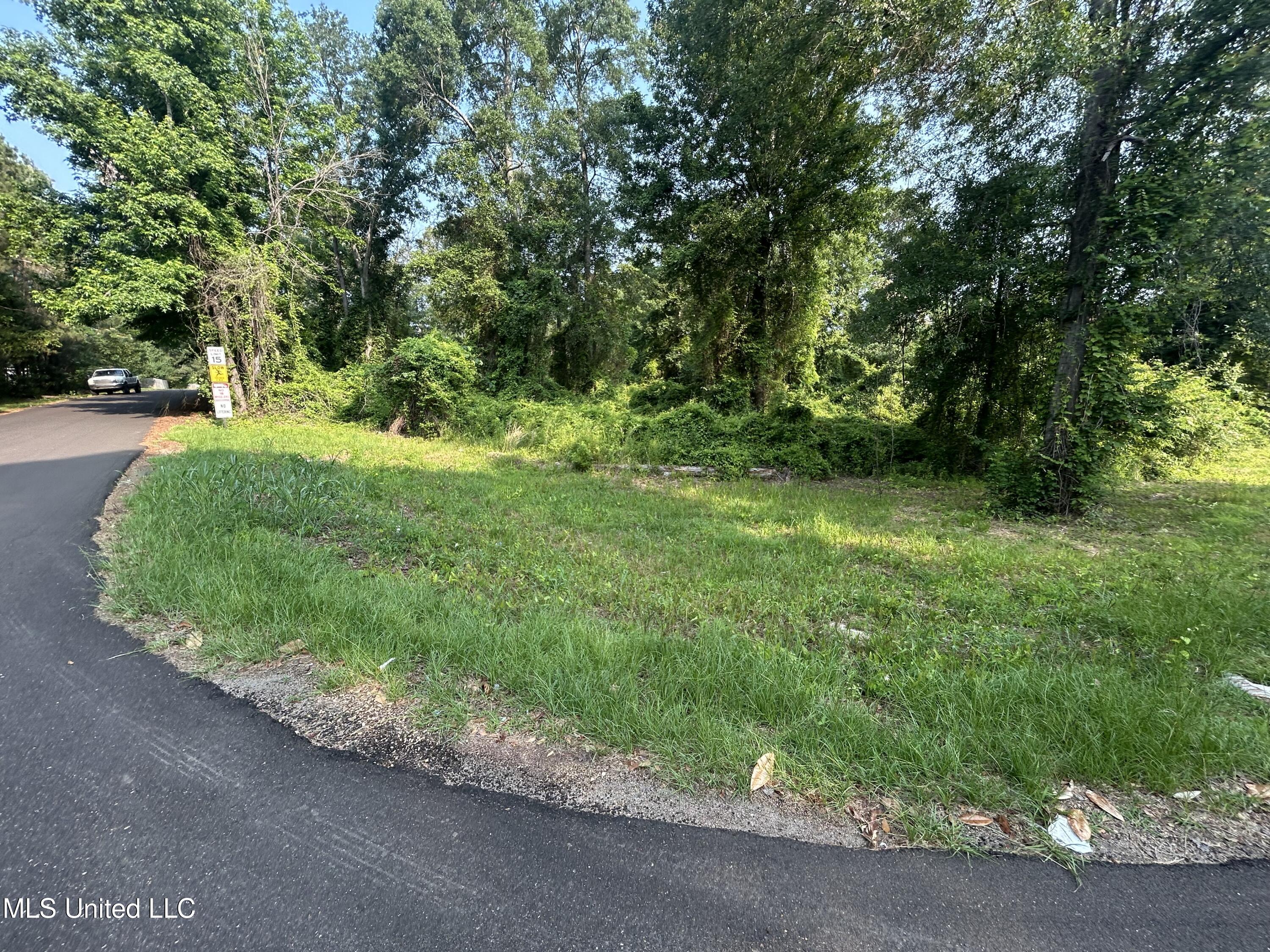 00 Love St Street, Brookhaven, Mississippi image 9