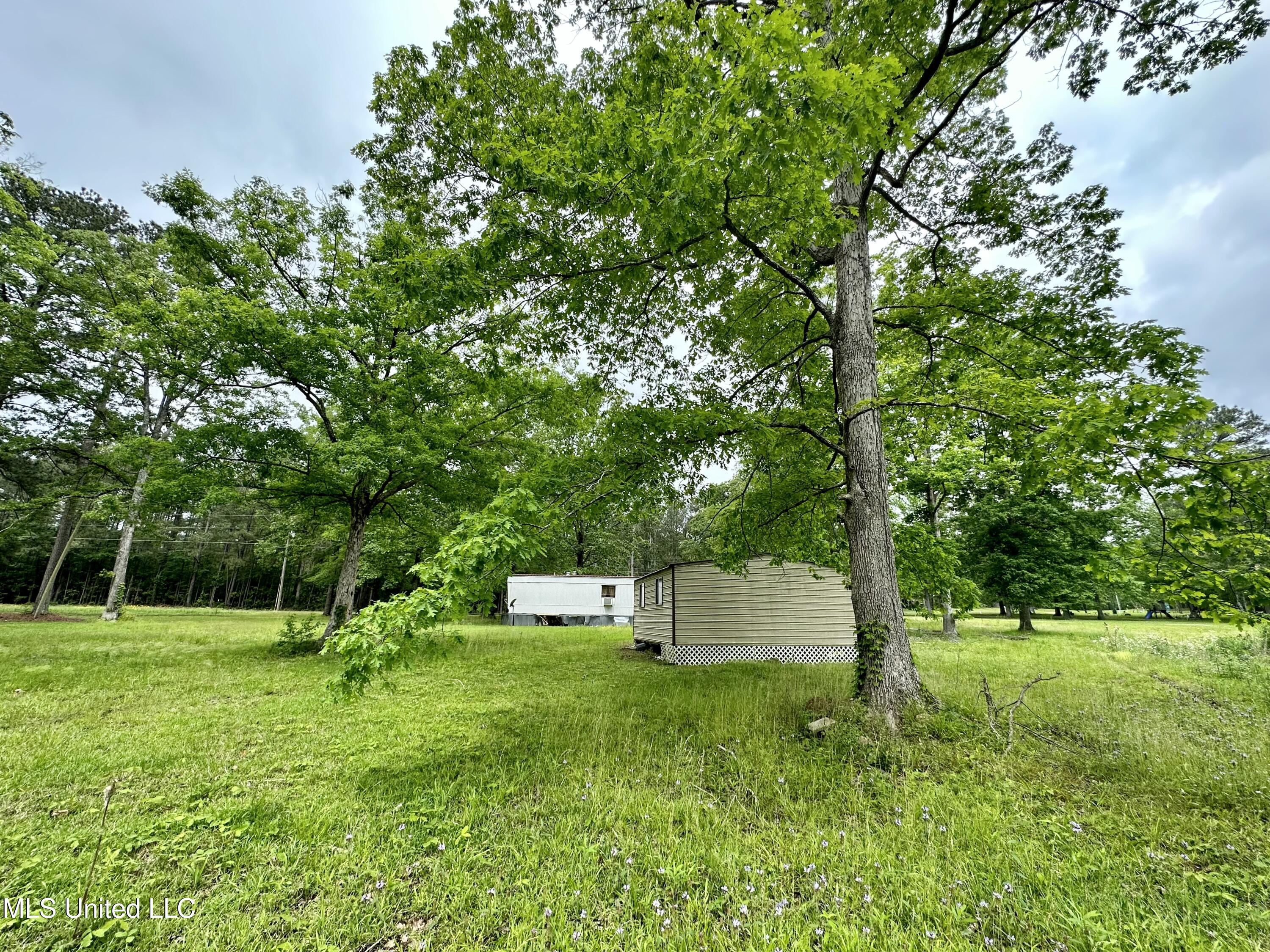 117 Deer Trail, Brandon, Mississippi image 6
