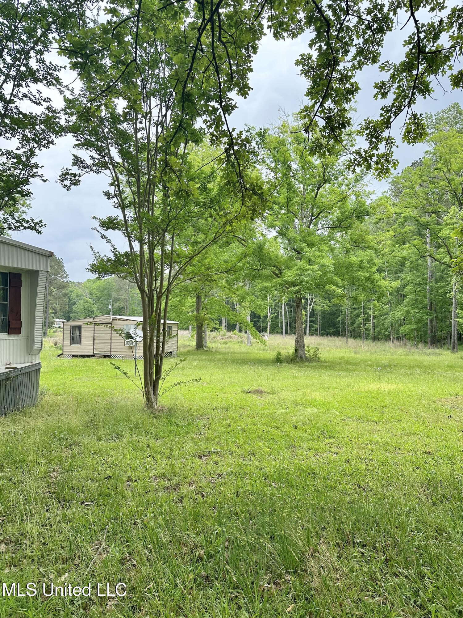 117 Deer Trail, Brandon, Mississippi image 3
