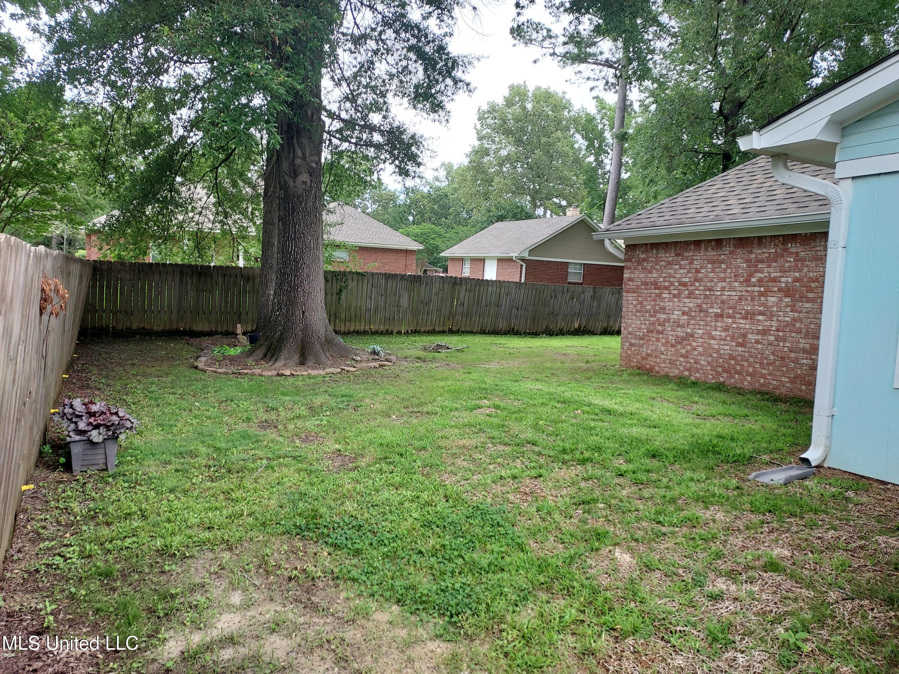 533 Greenhead Circle, Brandon, Mississippi image 34