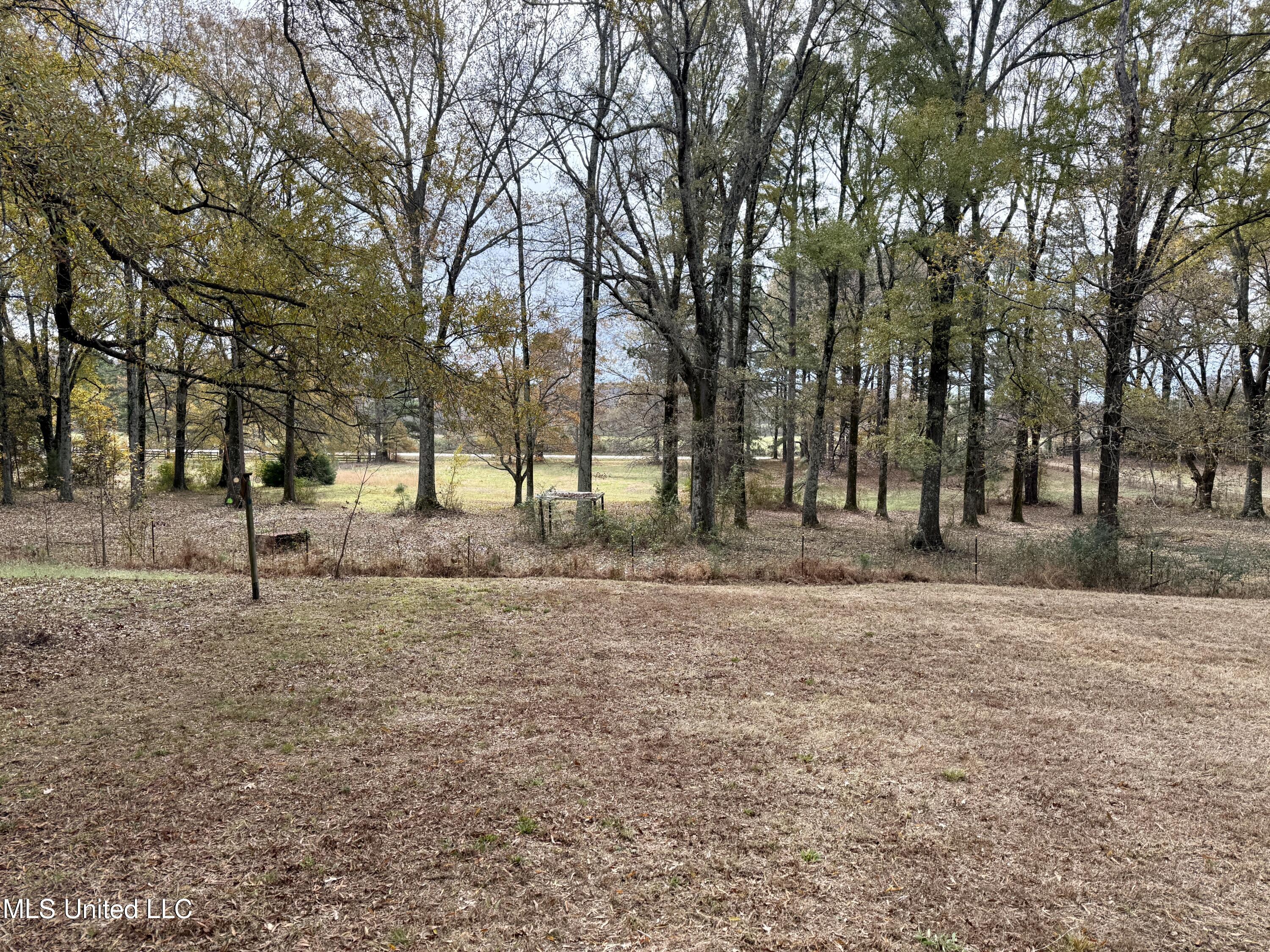 5780 Church Road, Horn Lake, Mississippi image 33