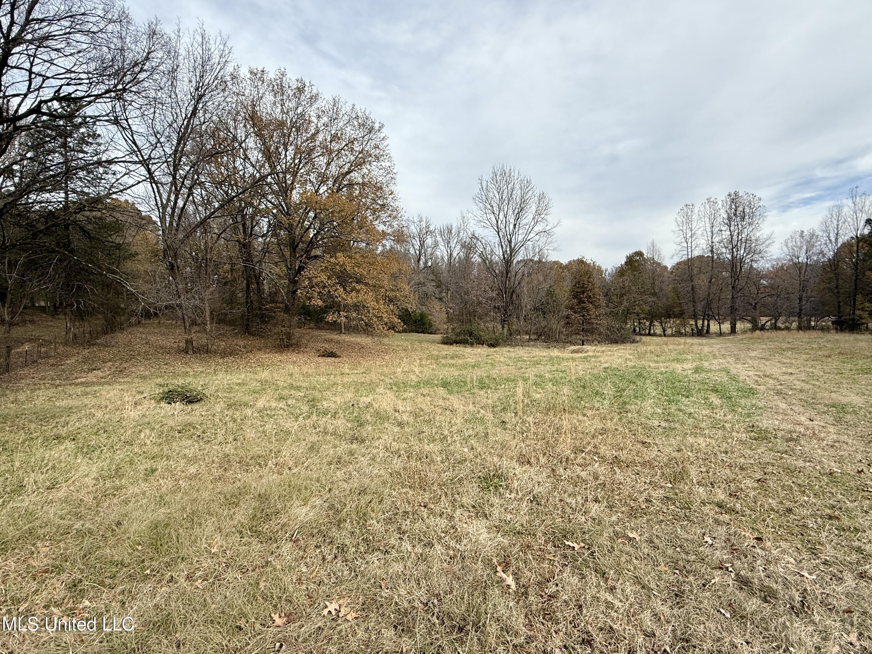 5780 Church Road, Horn Lake, Mississippi image 37