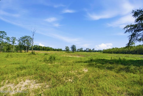 Vacant Land For Sale - 165.44 AC Baxter Avenue<br/> Lucedale, MS 39452