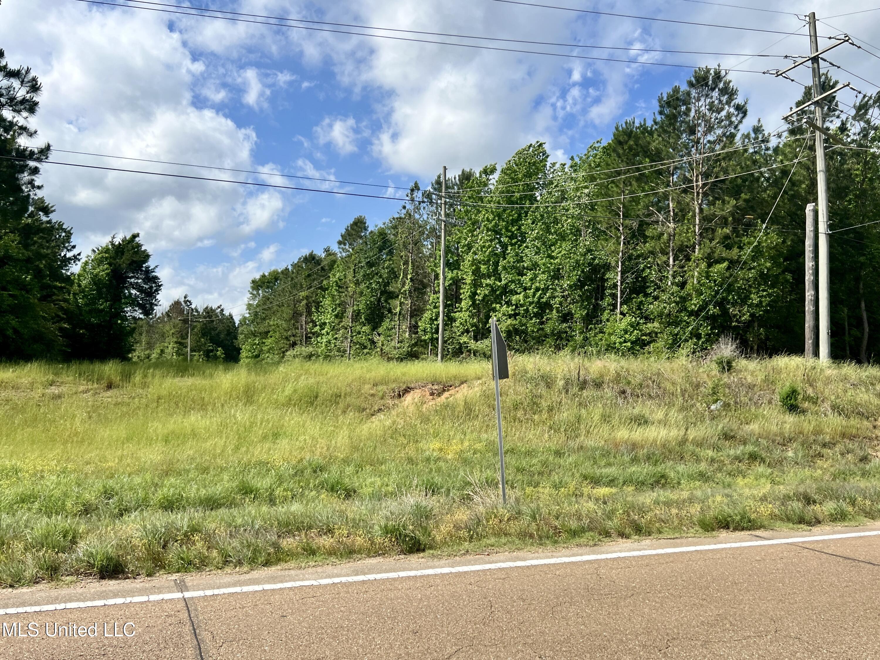 Lot 6 Hwy 24, Centreville, Mississippi image 3