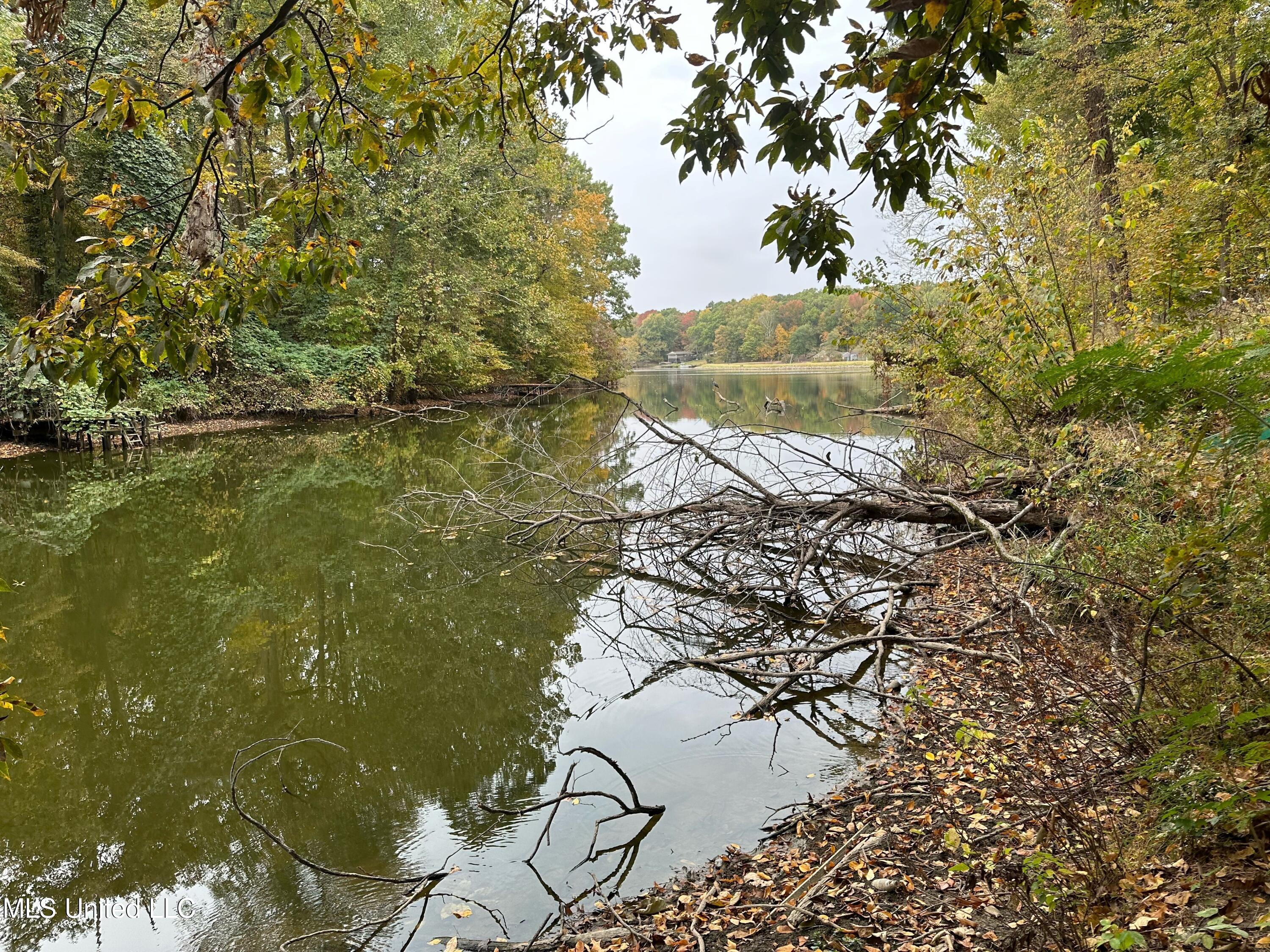 10825 Ben Vorlichs Head, Hernando, Mississippi image 1