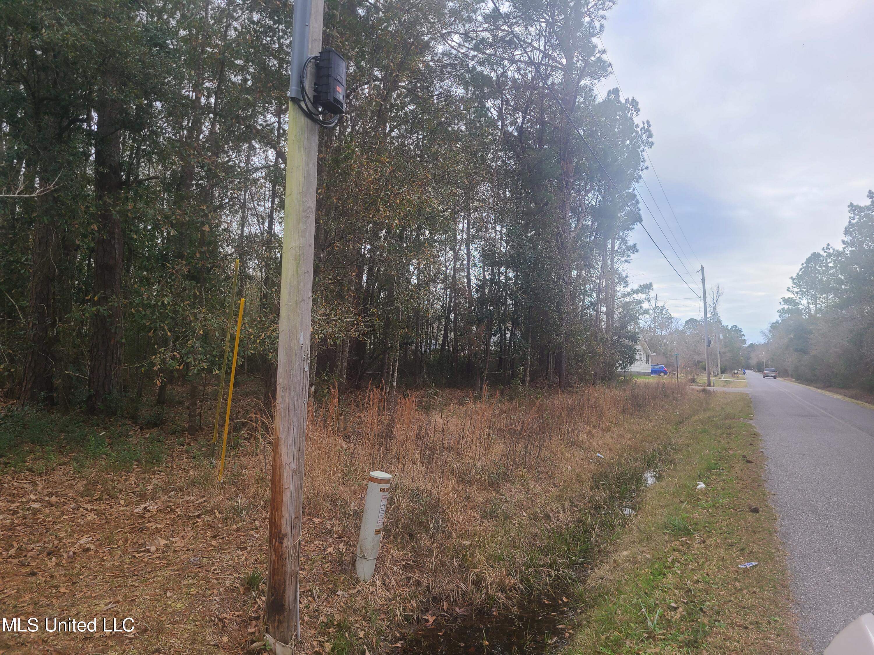 Thompson Road, Long Beach, Mississippi image 3