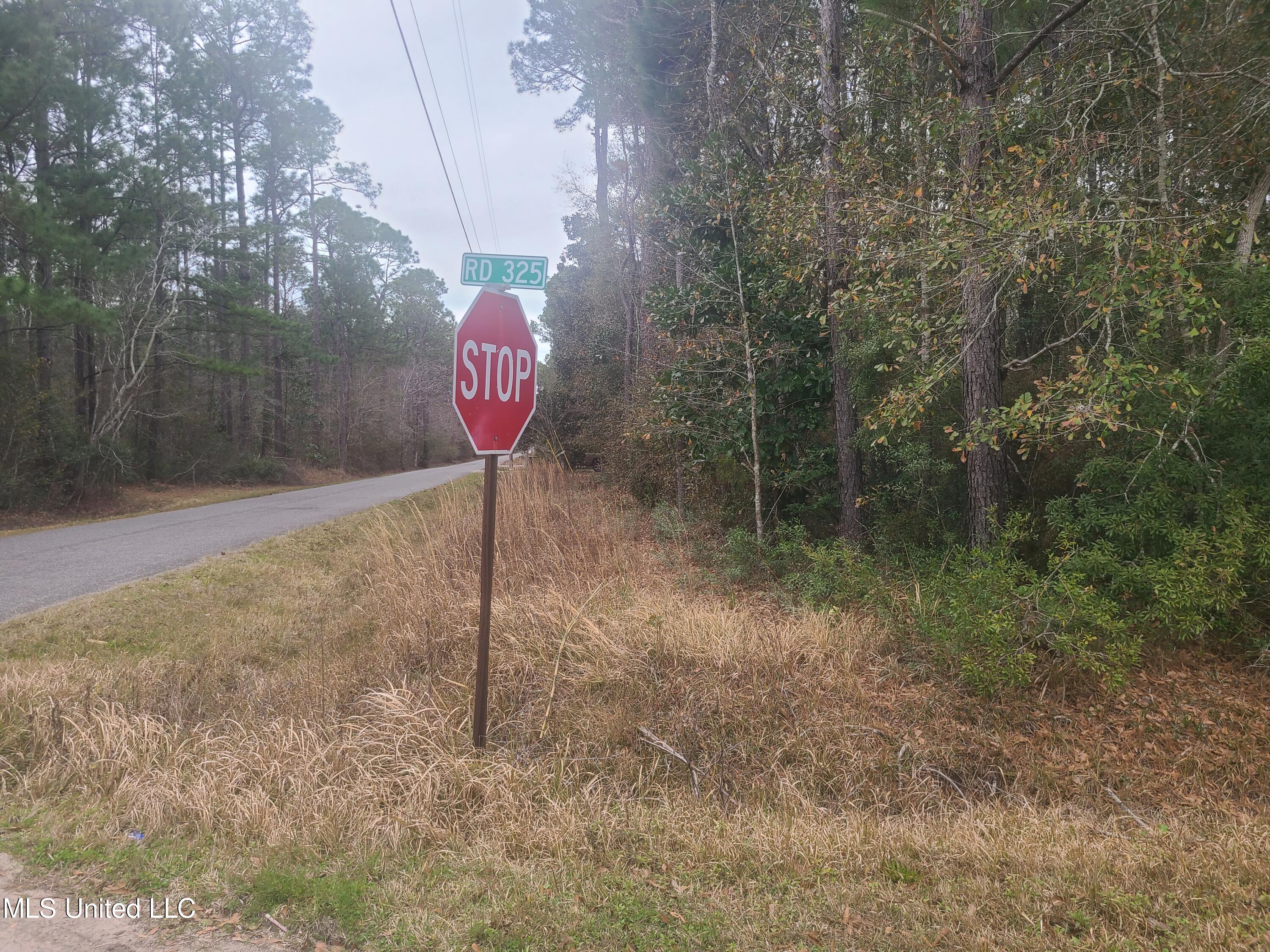 Thompson Road, Long Beach, Mississippi image 1