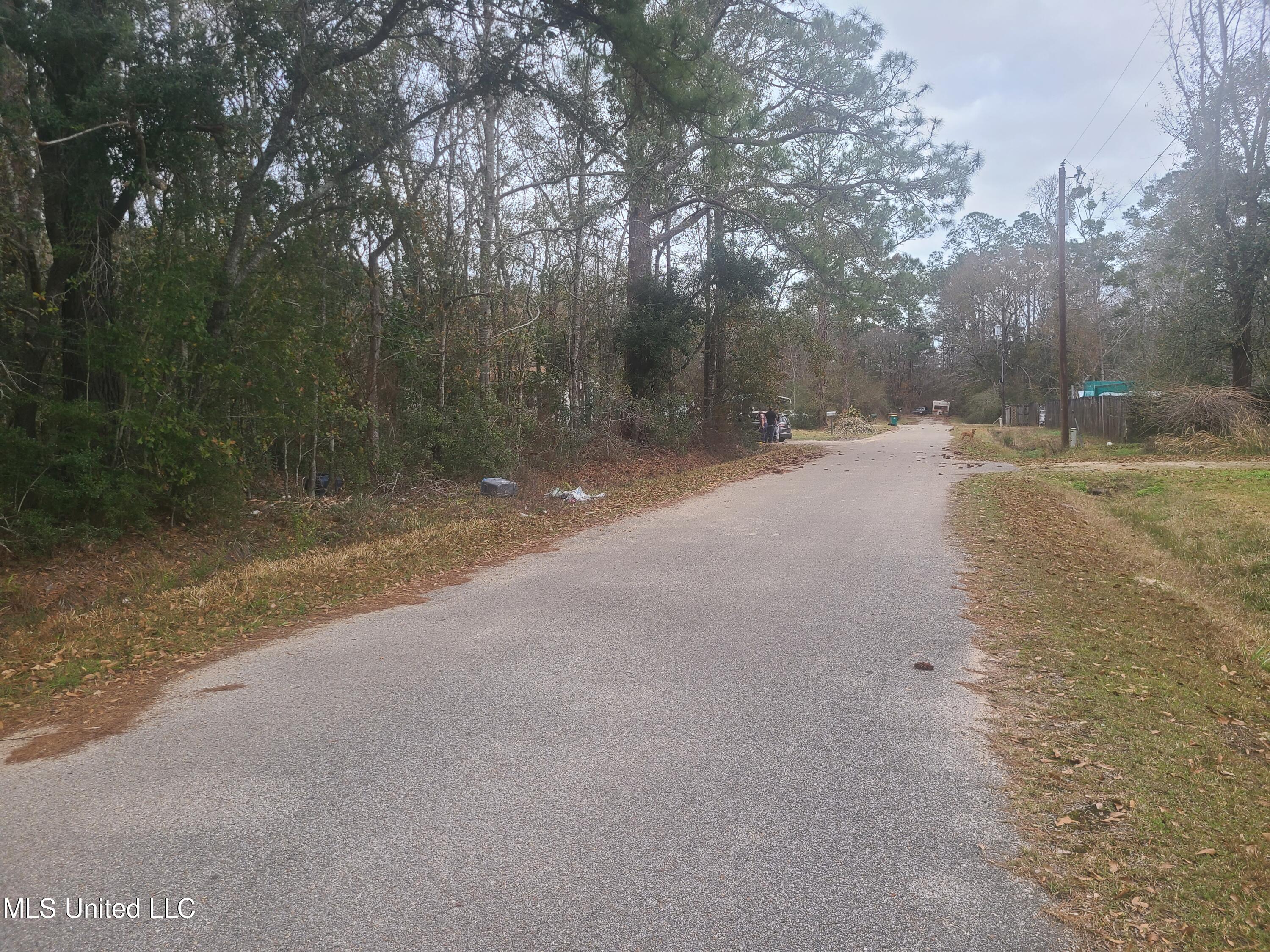 Thompson Road, Long Beach, Mississippi image 4