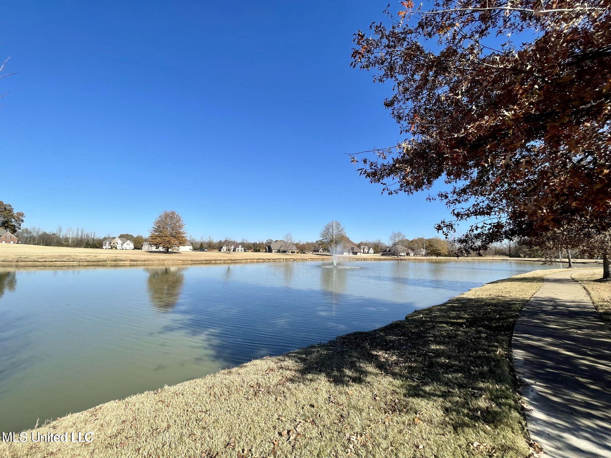 12900 Miller Farms Drive, Olive Branch, Mississippi image 31