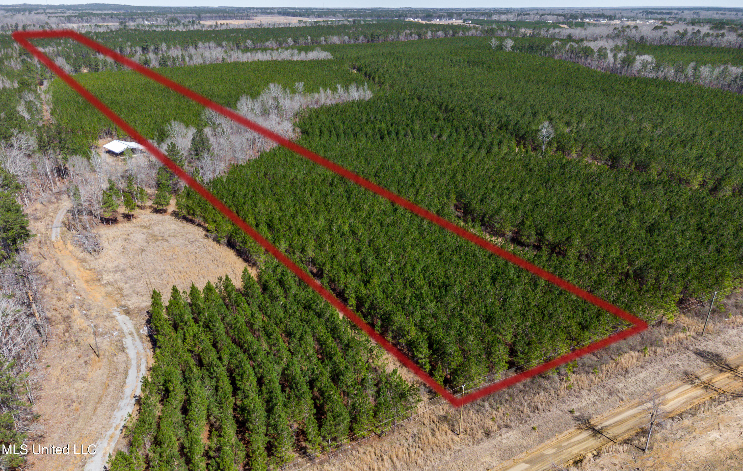 776 Mt Helm Road, Brandon, Mississippi image 4
