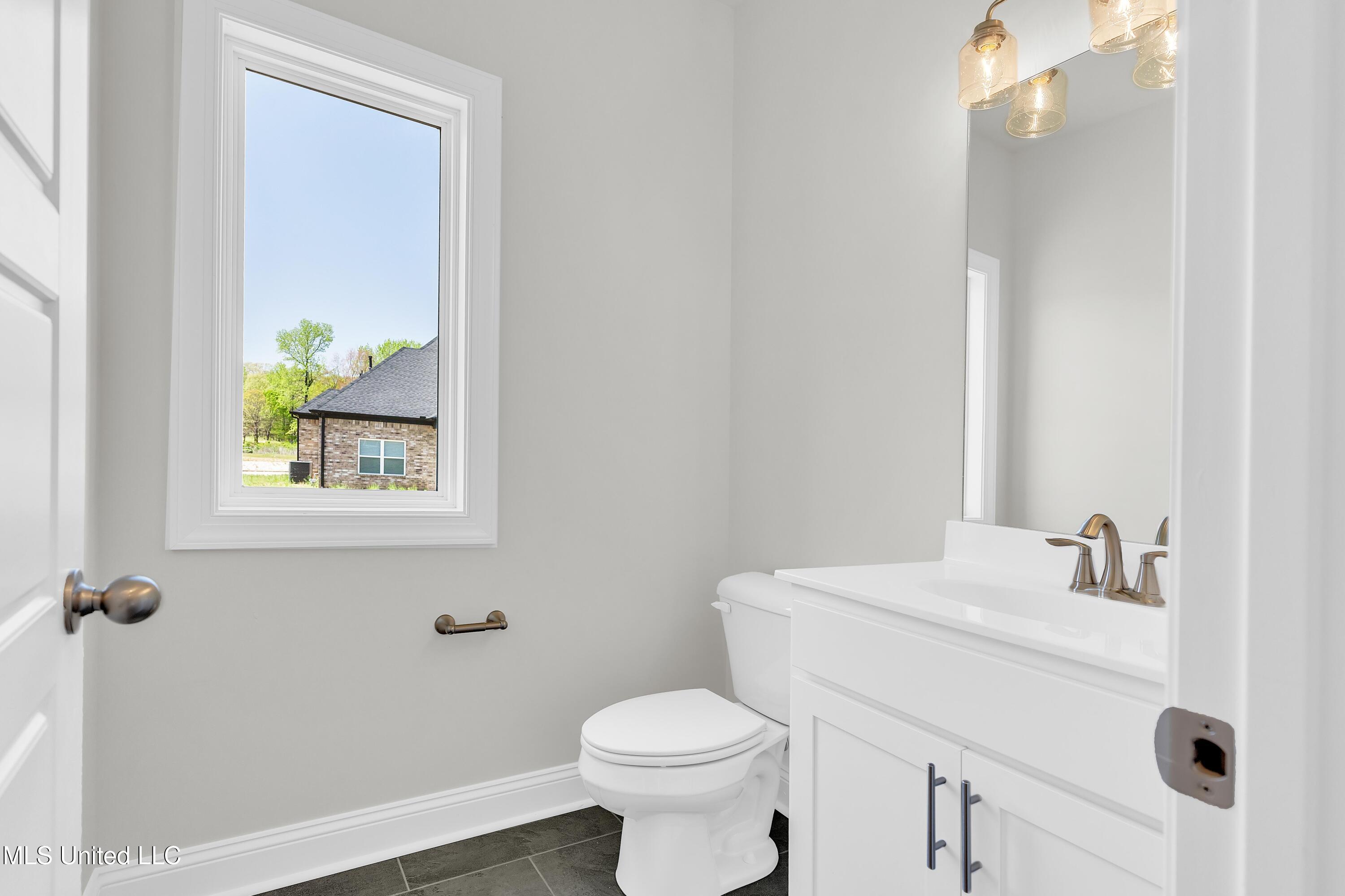 10262 March Meadows Way Way, Olive Branch, Mississippi image 9