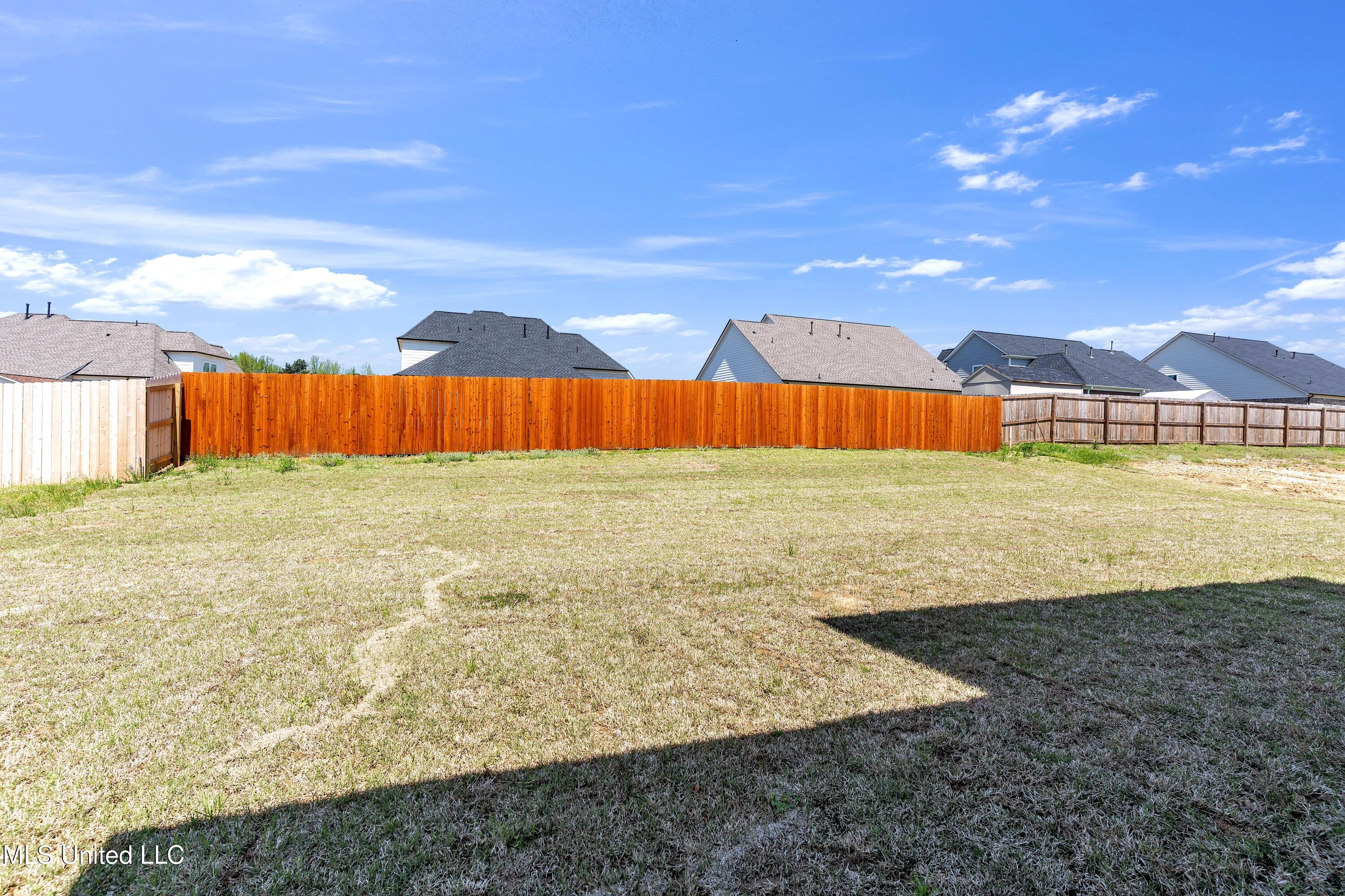 10262 March Meadows Way Way, Olive Branch, Mississippi image 20