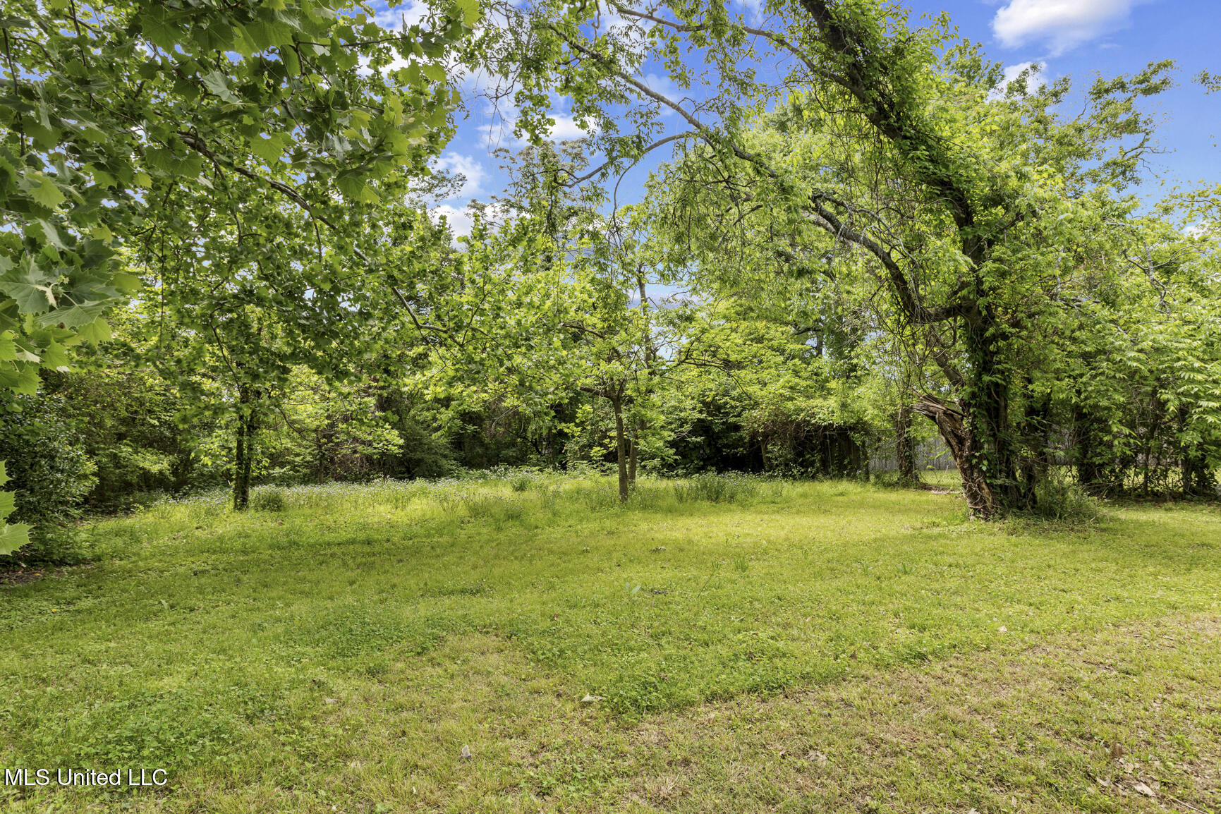 193 E Bell Street, Jackson, Mississippi image 15