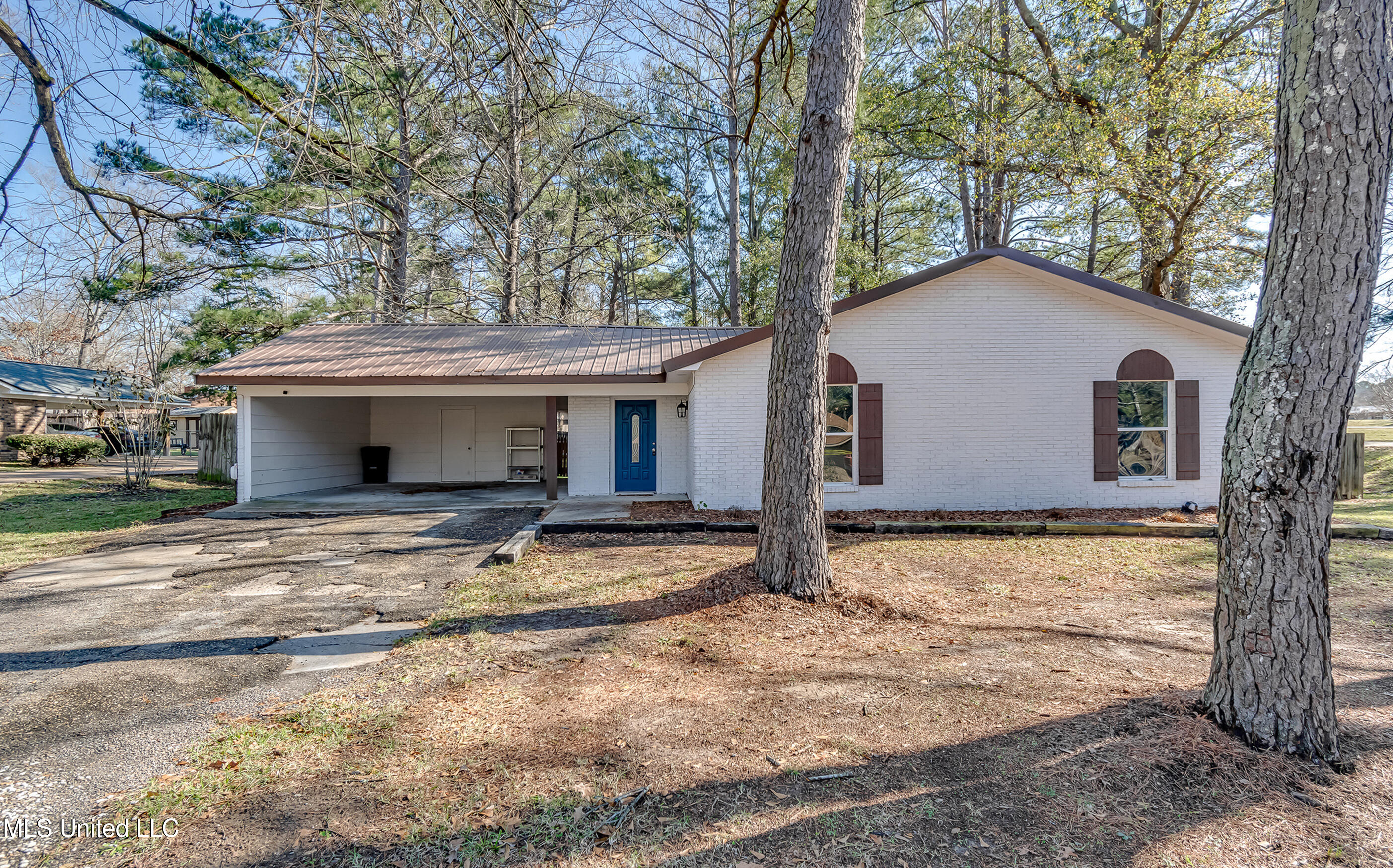 100 N Sweetgum Rd Road, Brandon, Mississippi image 1