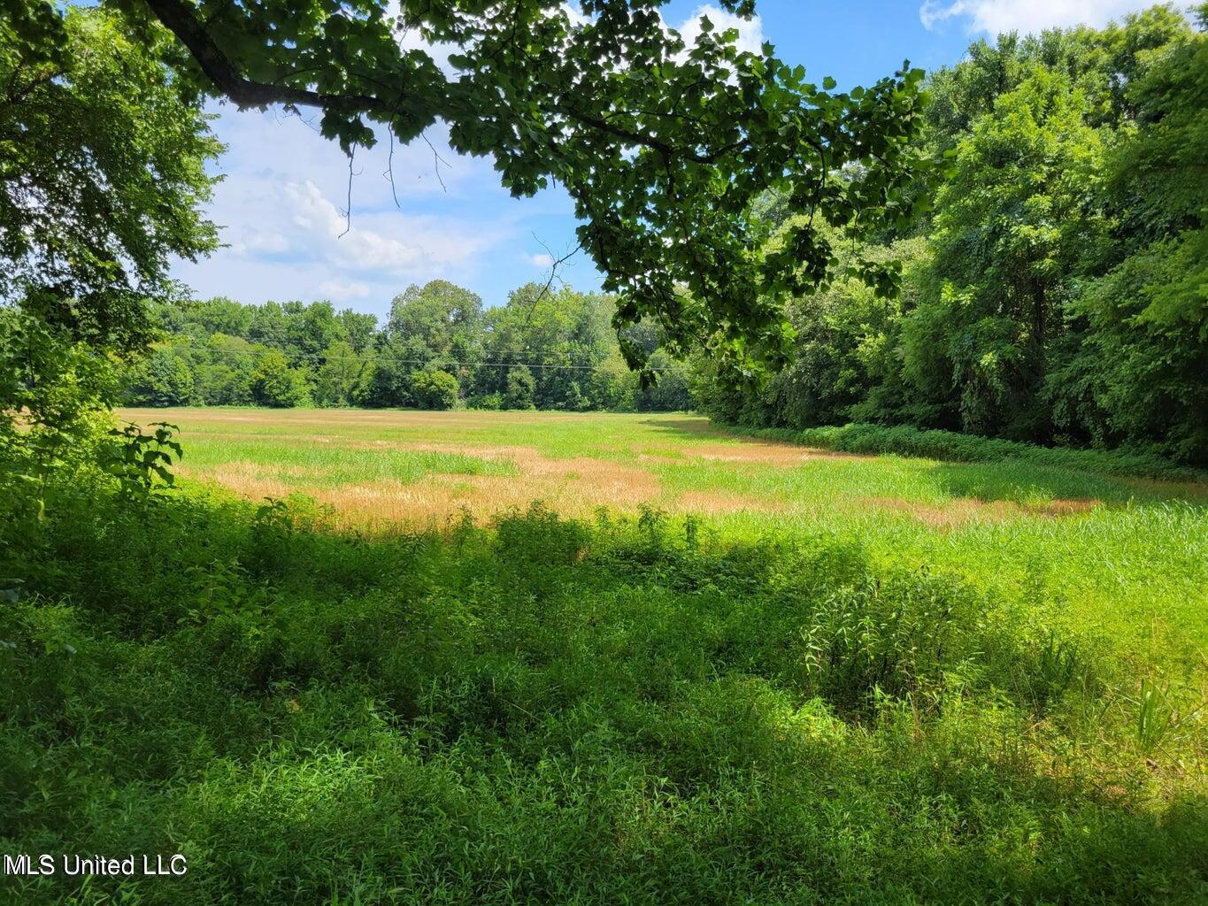 Hogan Road, Mount Pleasant, Mississippi image 7