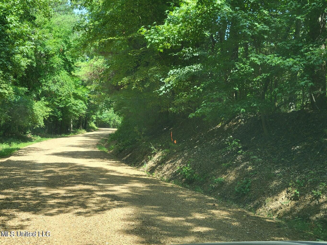 Hogan Road, Mount Pleasant, Mississippi image 9