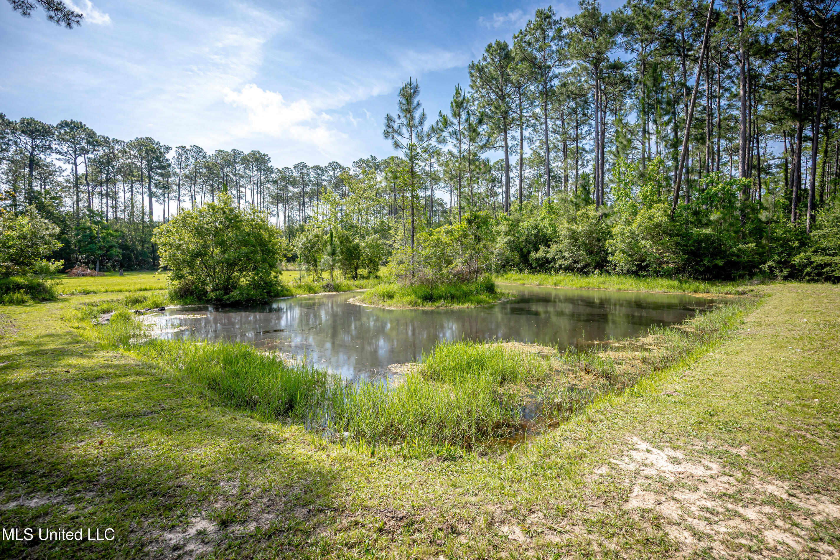 11801 Jim Ramsay Road, Vancleave, Mississippi image 42