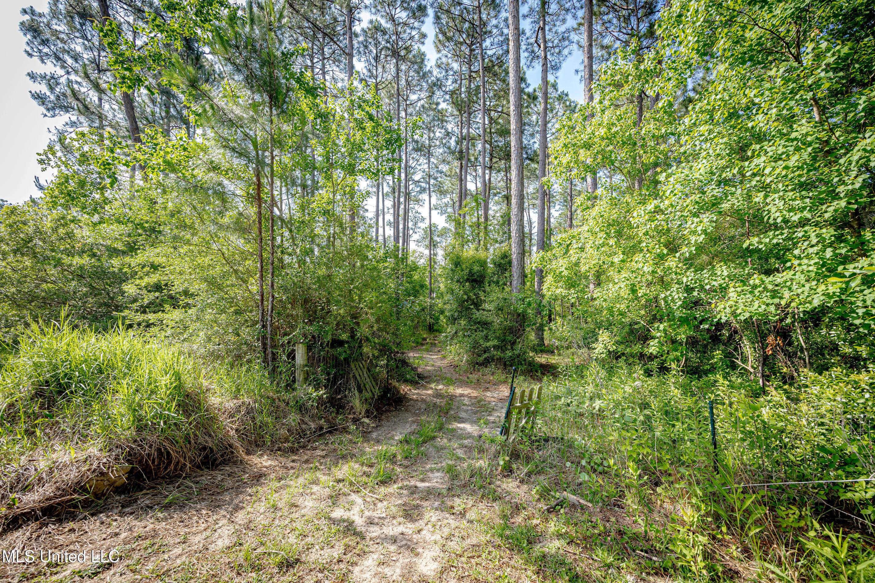 11801 Jim Ramsay Road, Vancleave, Mississippi image 43
