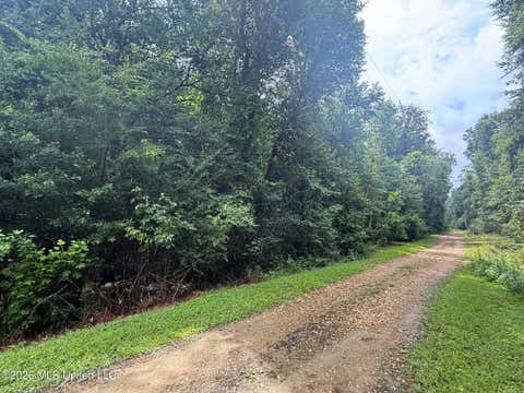 Vacant Land For Sale - 3042 Brandi Road<br/> Summit, MS 39666