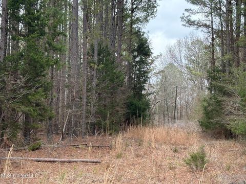 Vacant Land For Sale - County Road 2211<br/> Kosciusko, MS 39090