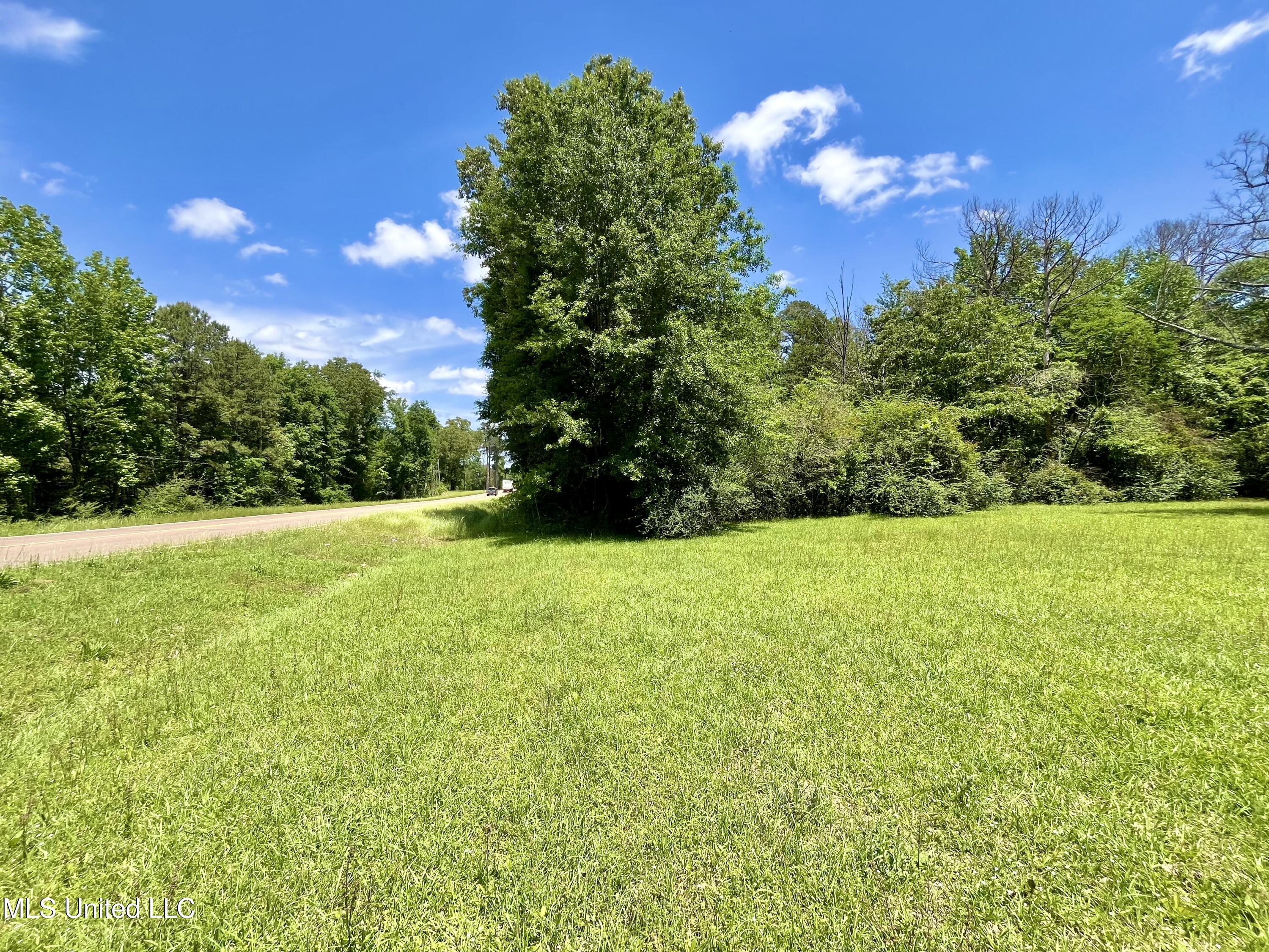 Hwy 51, Crystal Springs, Mississippi image 1