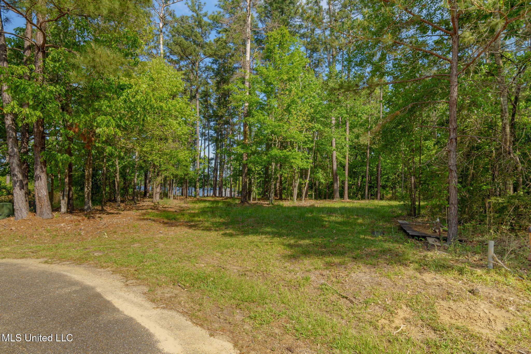 34 Bent Pebble Point, Lumberton, Mississippi image 5