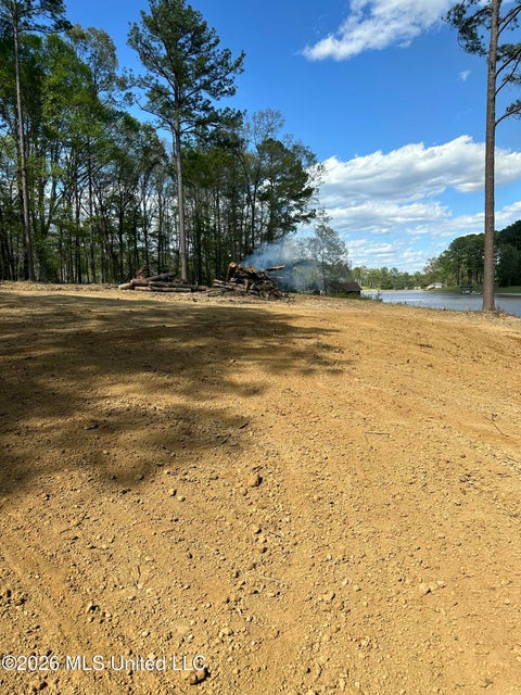 Vacant Land For Sale - 102 Cedar Ridge Drive<br/> Madison County, Canton, MS 39046