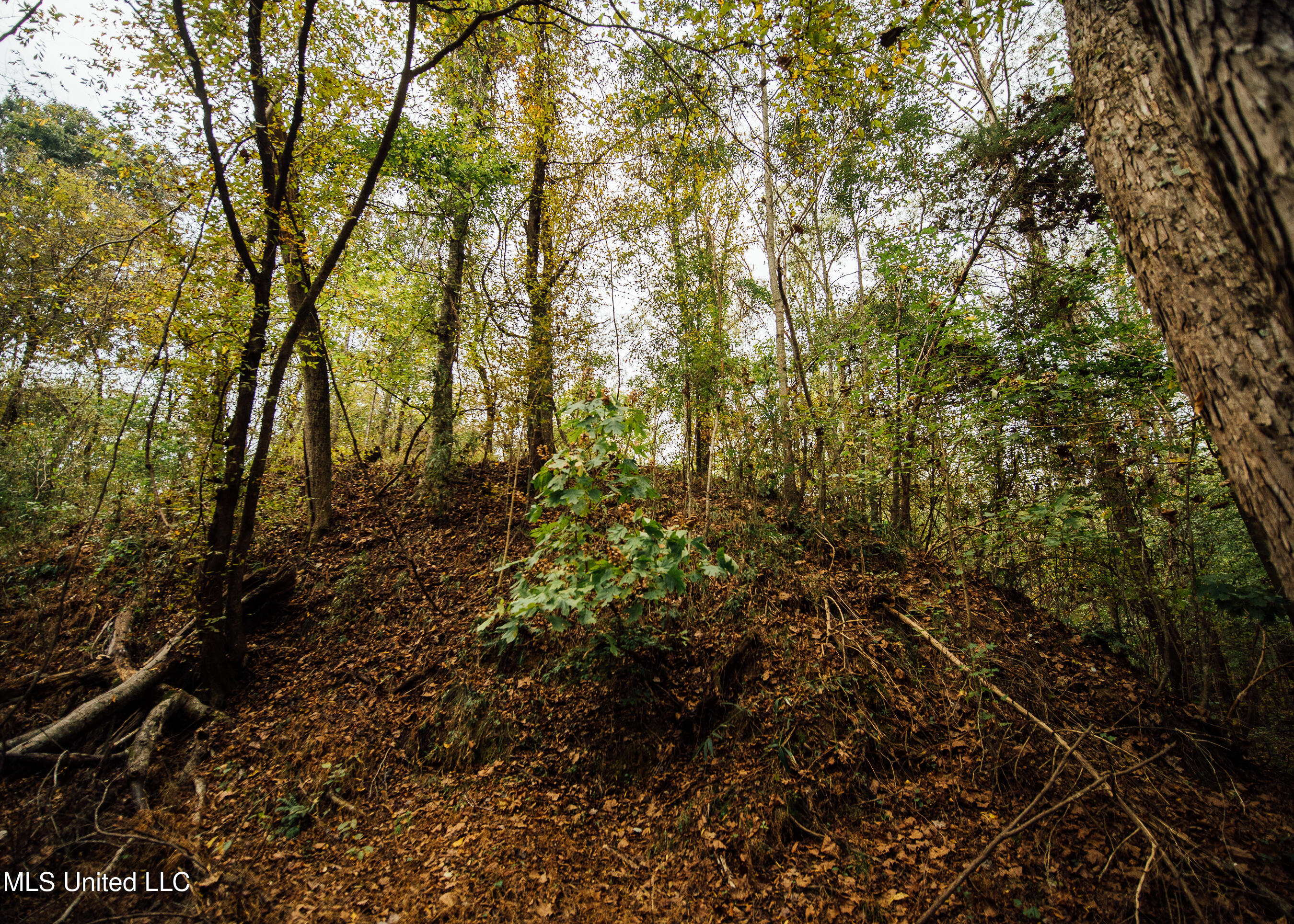 Old Benton Rd, Yazoo City, Mississippi image 37