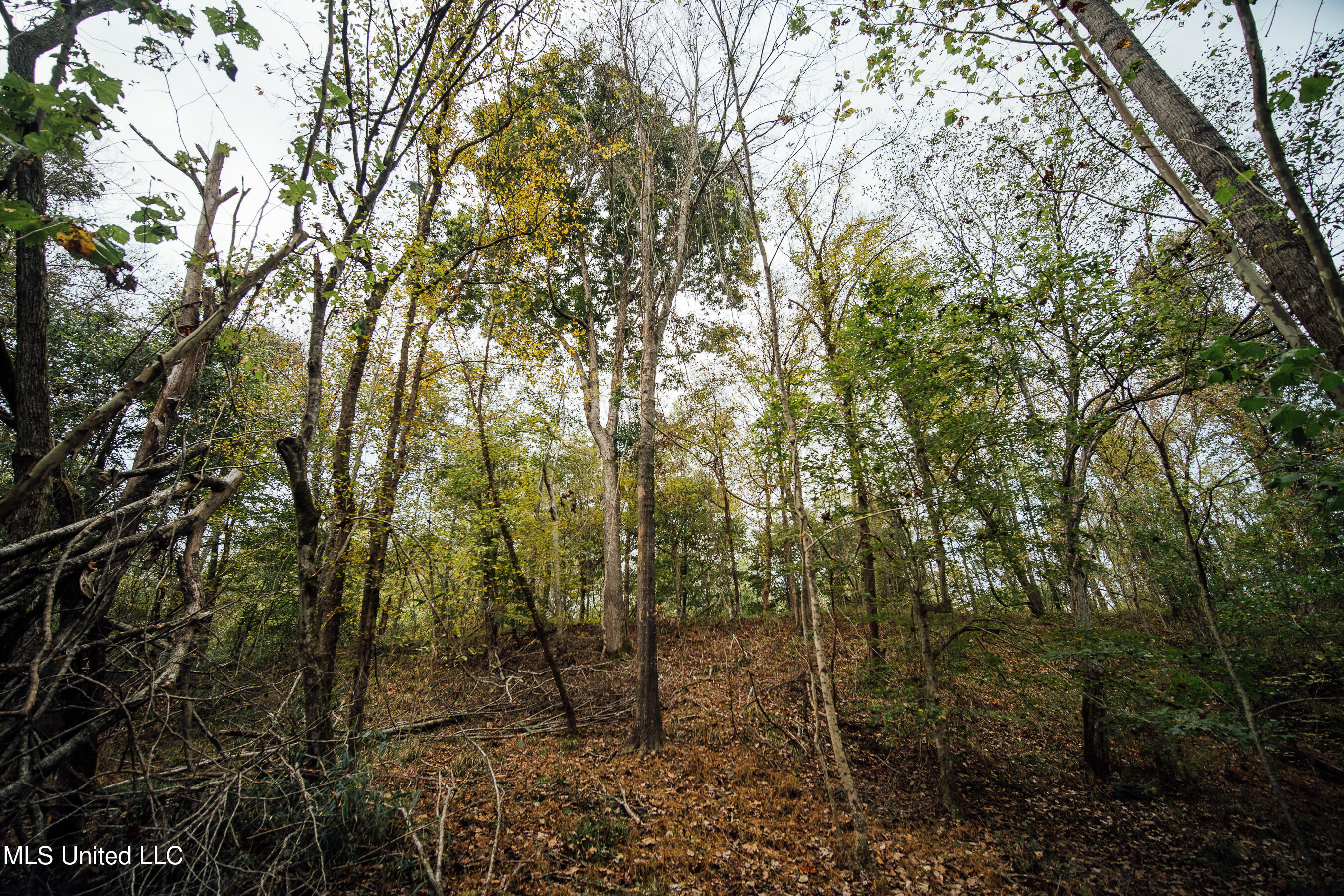 Old Benton Rd, Yazoo City, Mississippi image 39