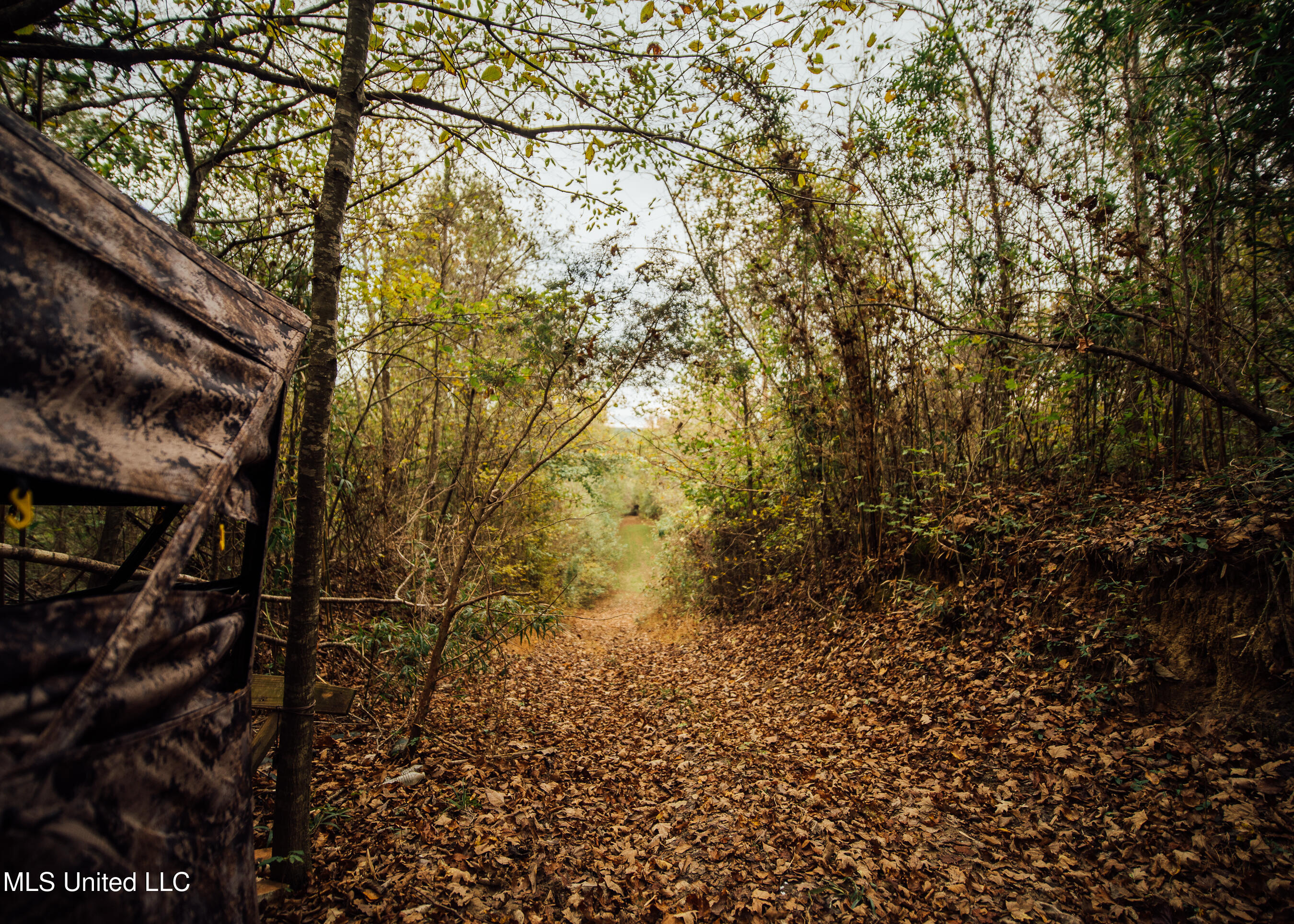 Old Benton Rd, Yazoo City, Mississippi image 9