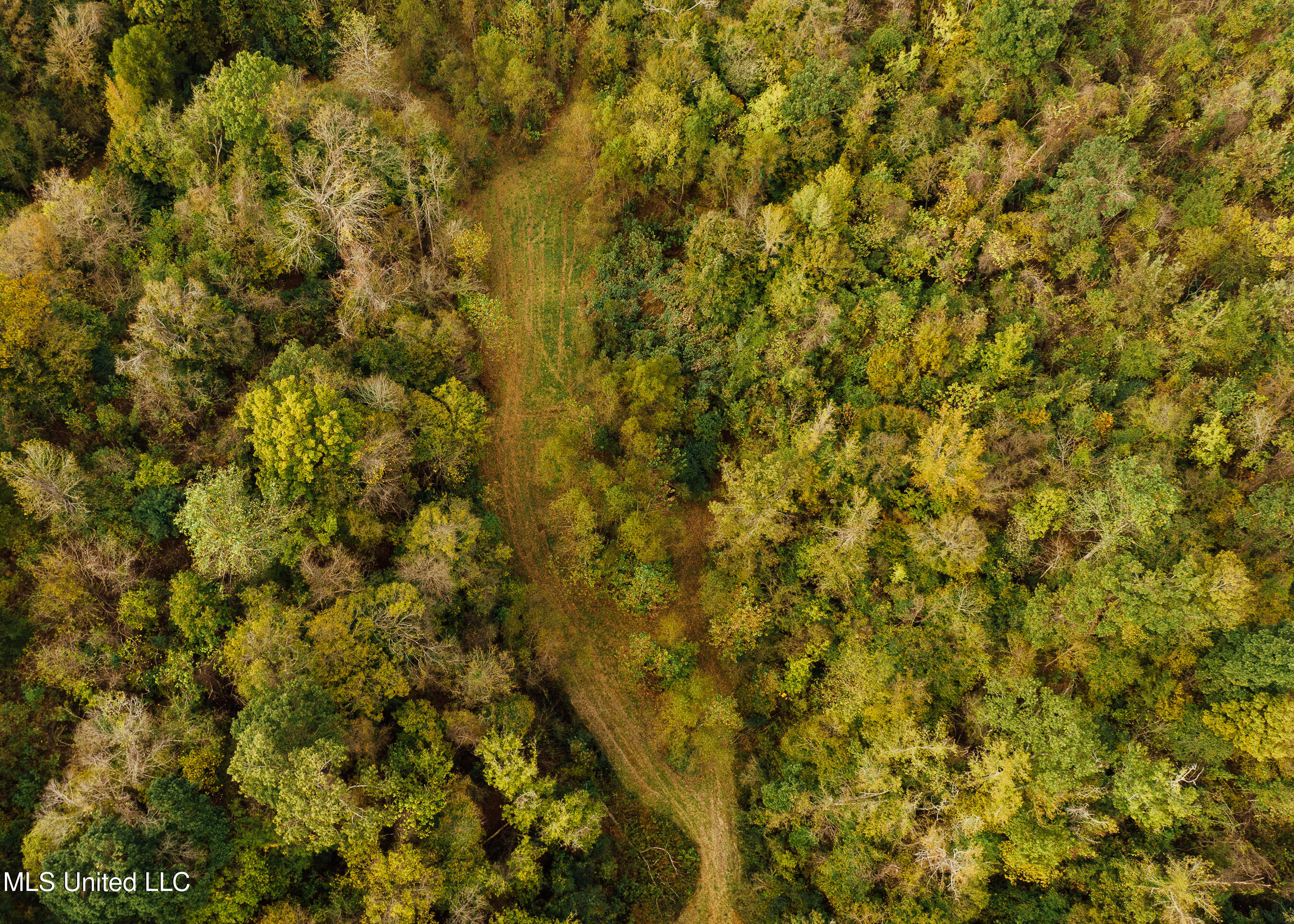 Old Benton Rd, Yazoo City, Mississippi image 16