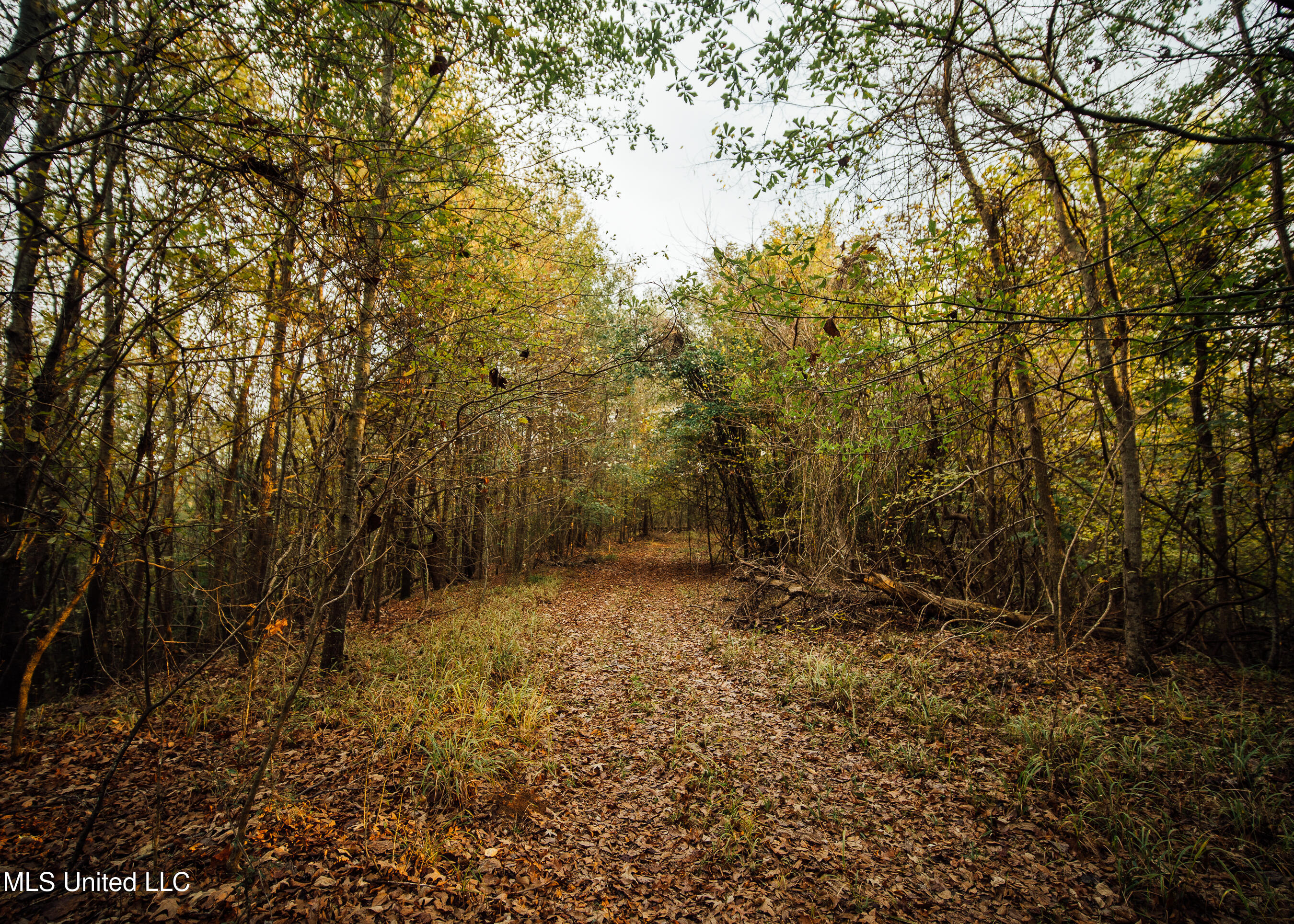 Old Benton Rd, Yazoo City, Mississippi image 31