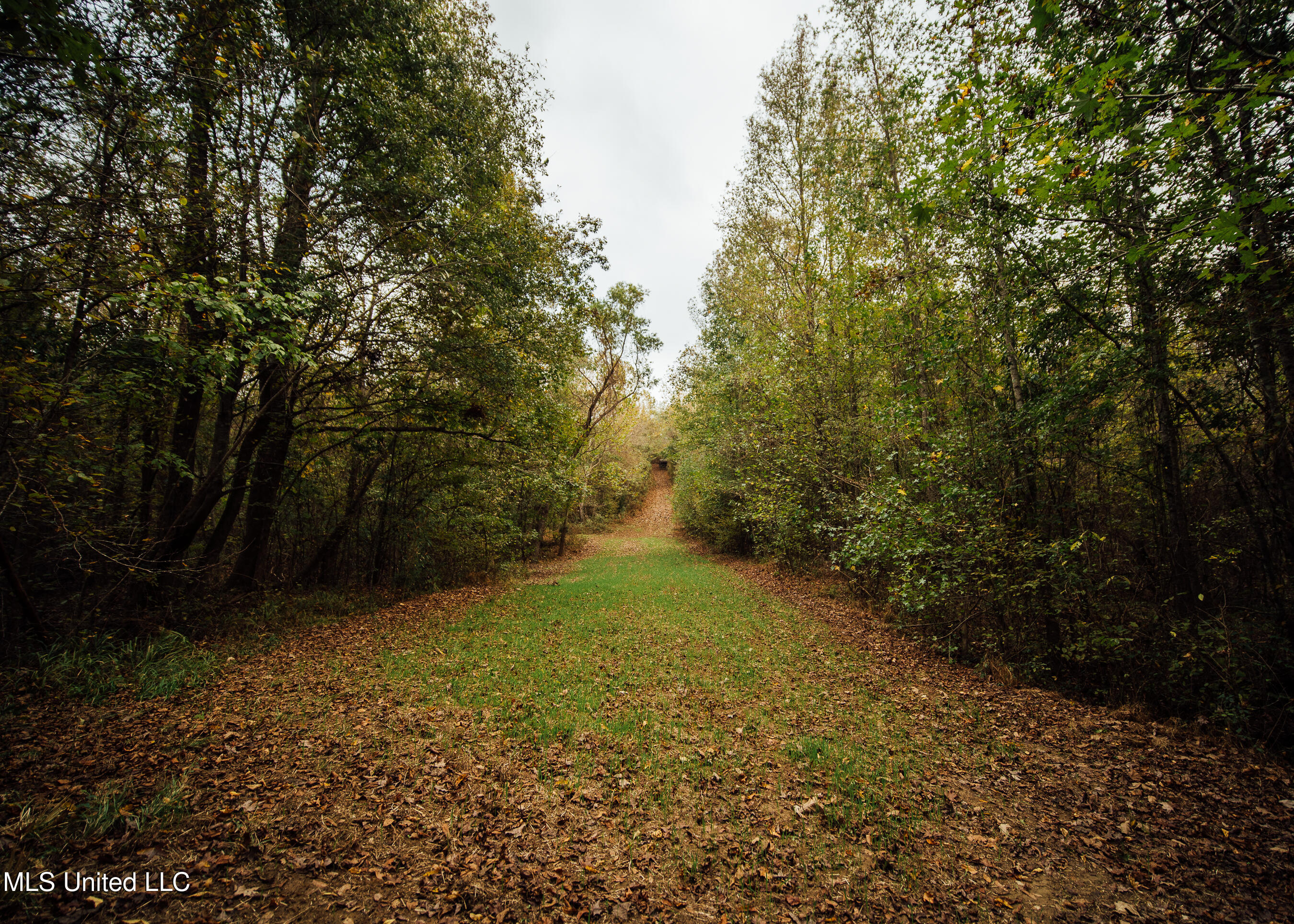 Old Benton Rd, Yazoo City, Mississippi image 27