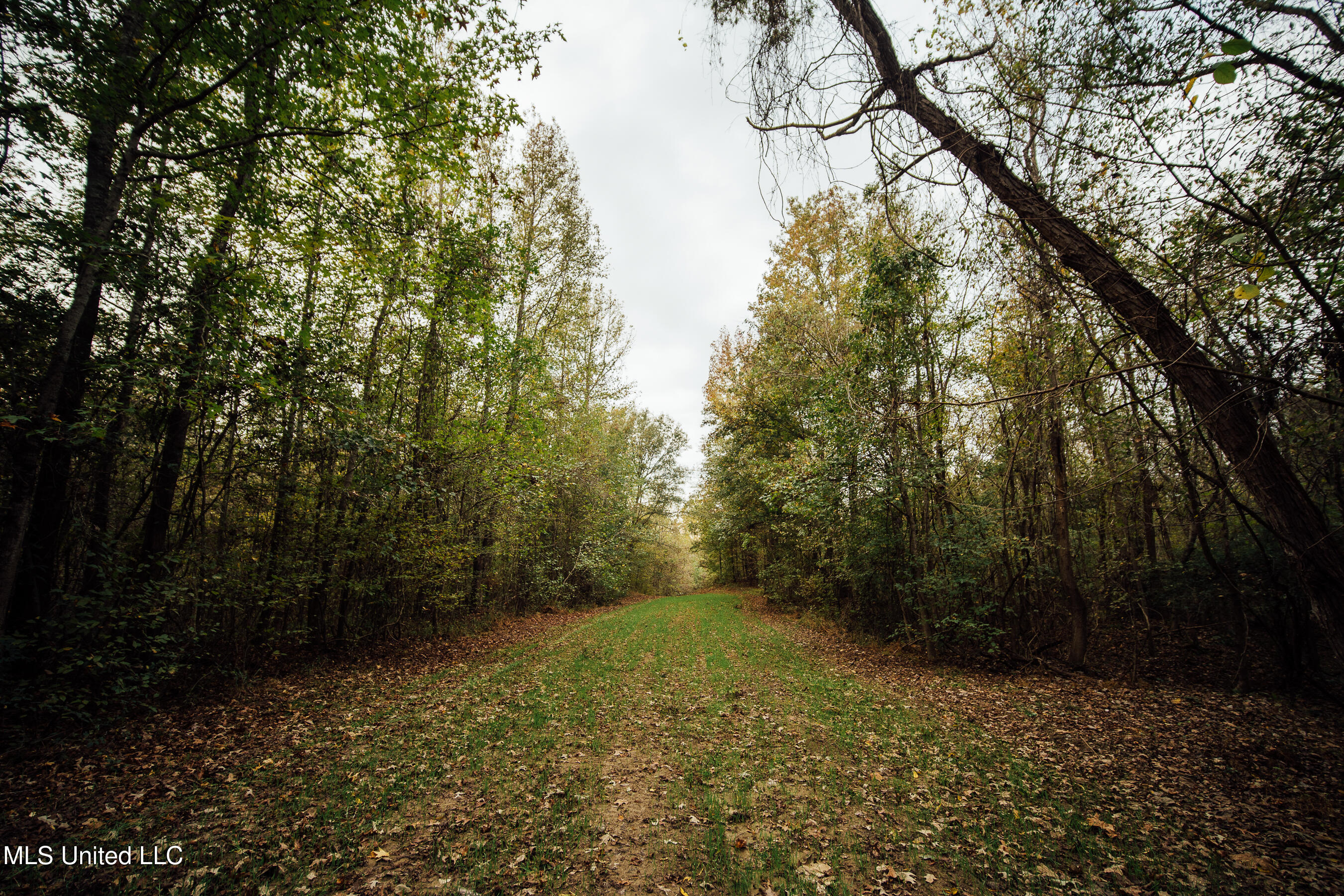 Old Benton Rd, Yazoo City, Mississippi image 28