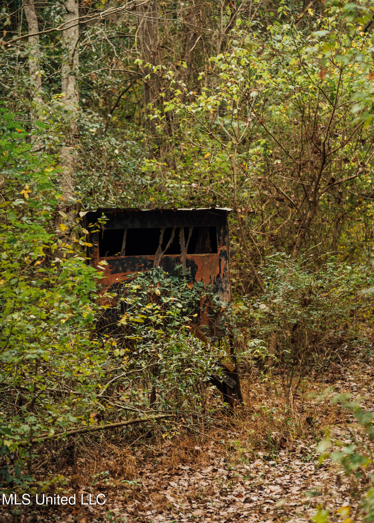 Old Benton Rd, Yazoo City, Mississippi image 42