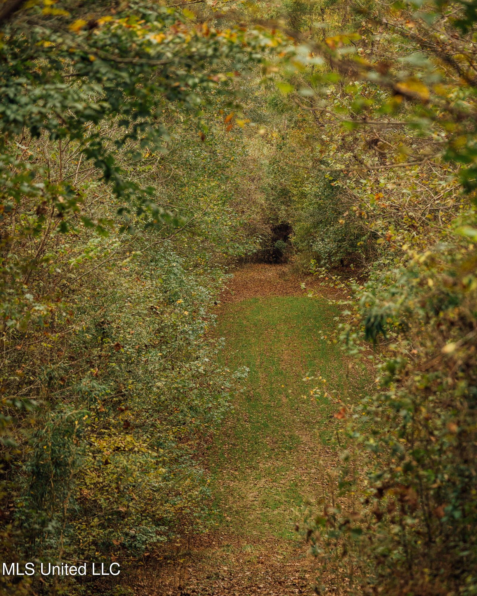 Old Benton Rd, Yazoo City, Mississippi image 32