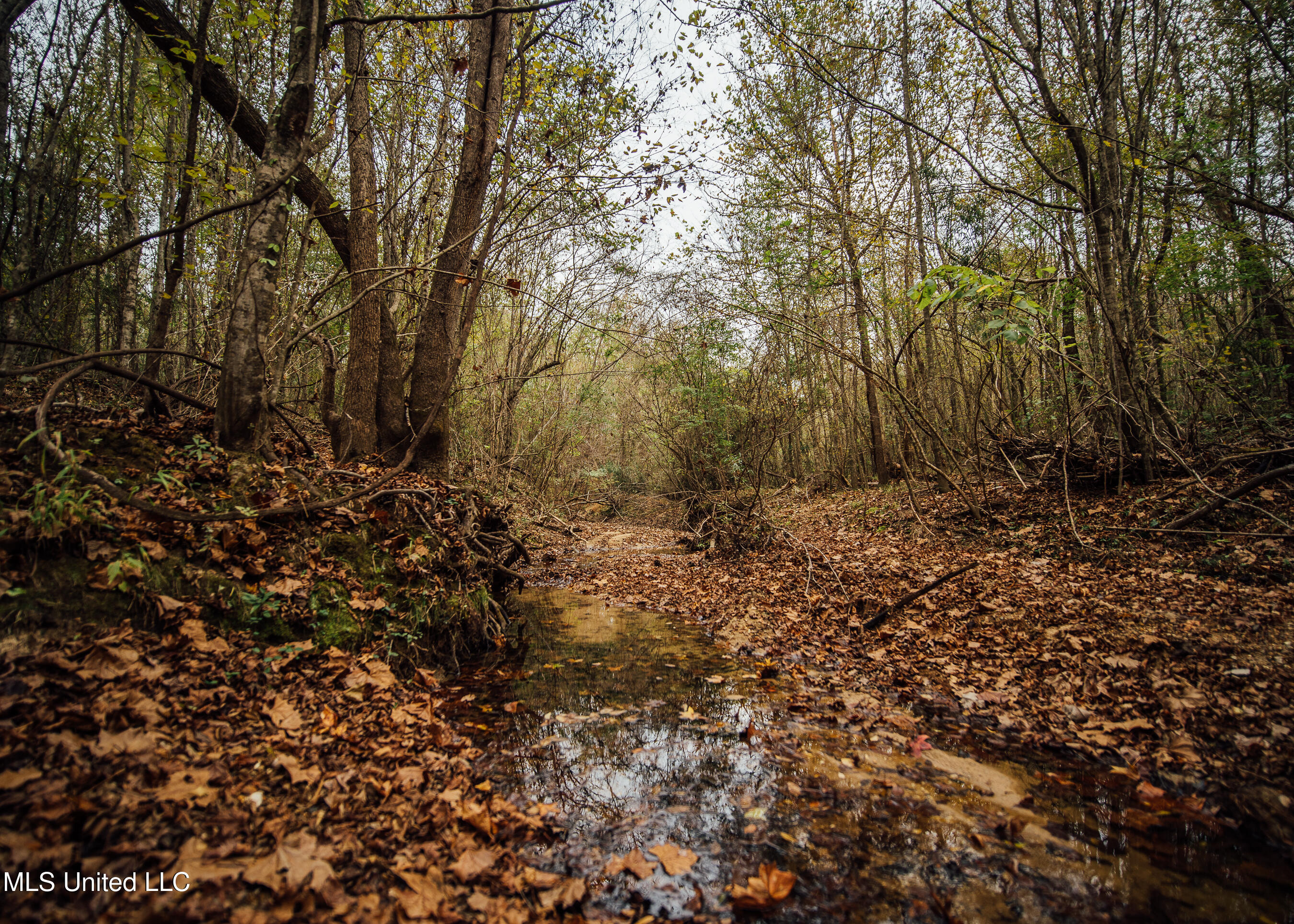 Old Benton Rd, Yazoo City, Mississippi image 6