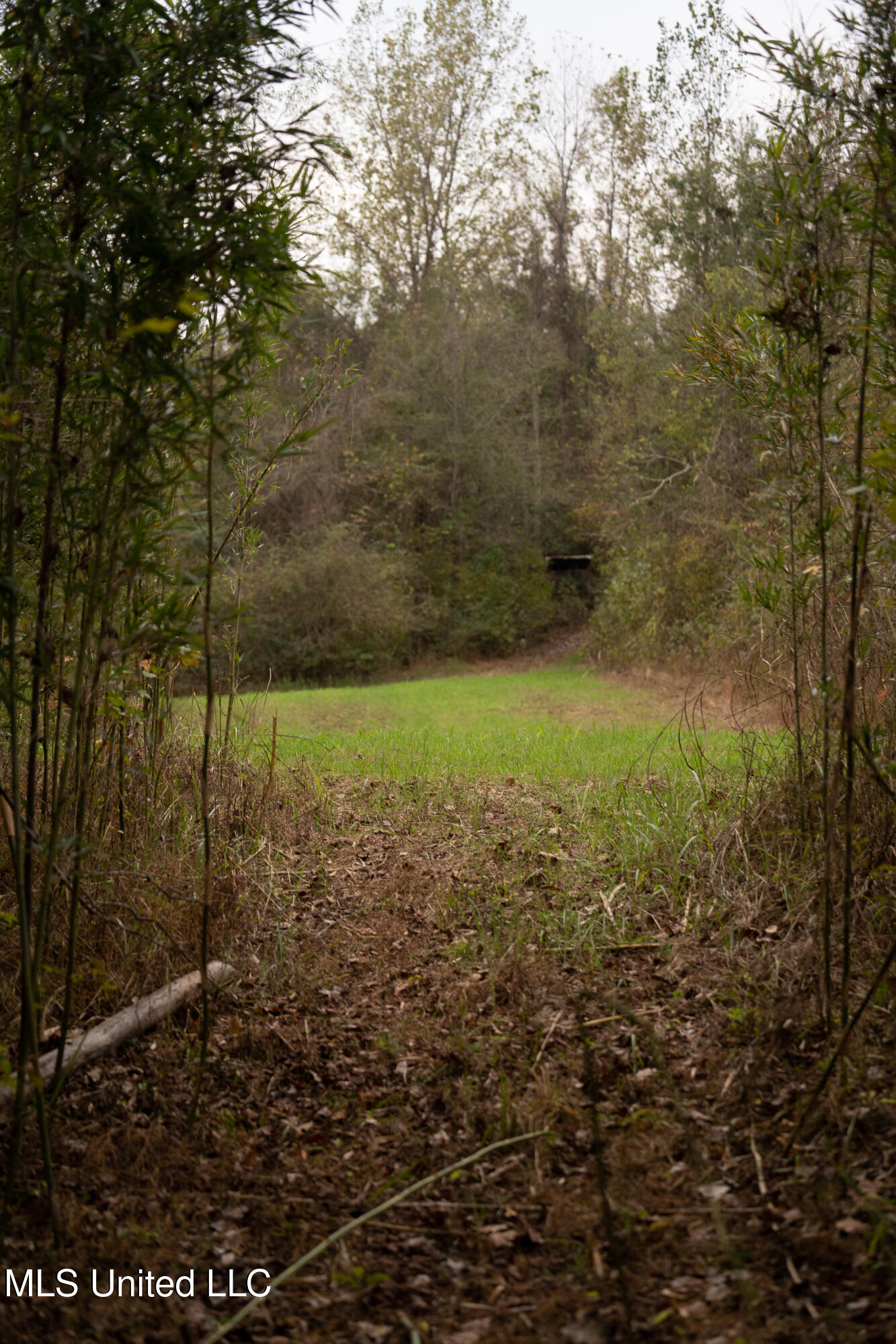 Old Benton Rd, Yazoo City, Mississippi image 43