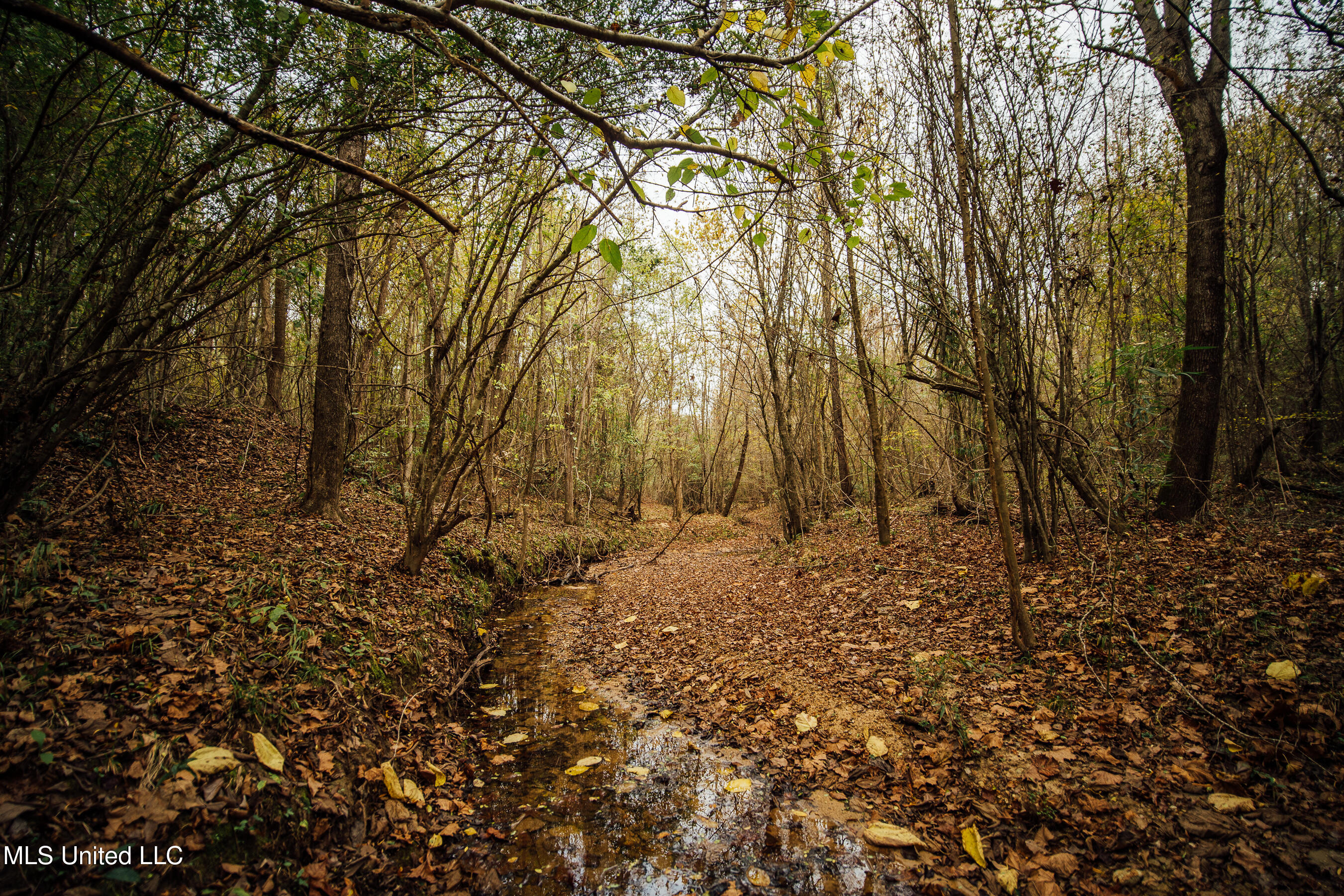 Old Benton Rd, Yazoo City, Mississippi image 5